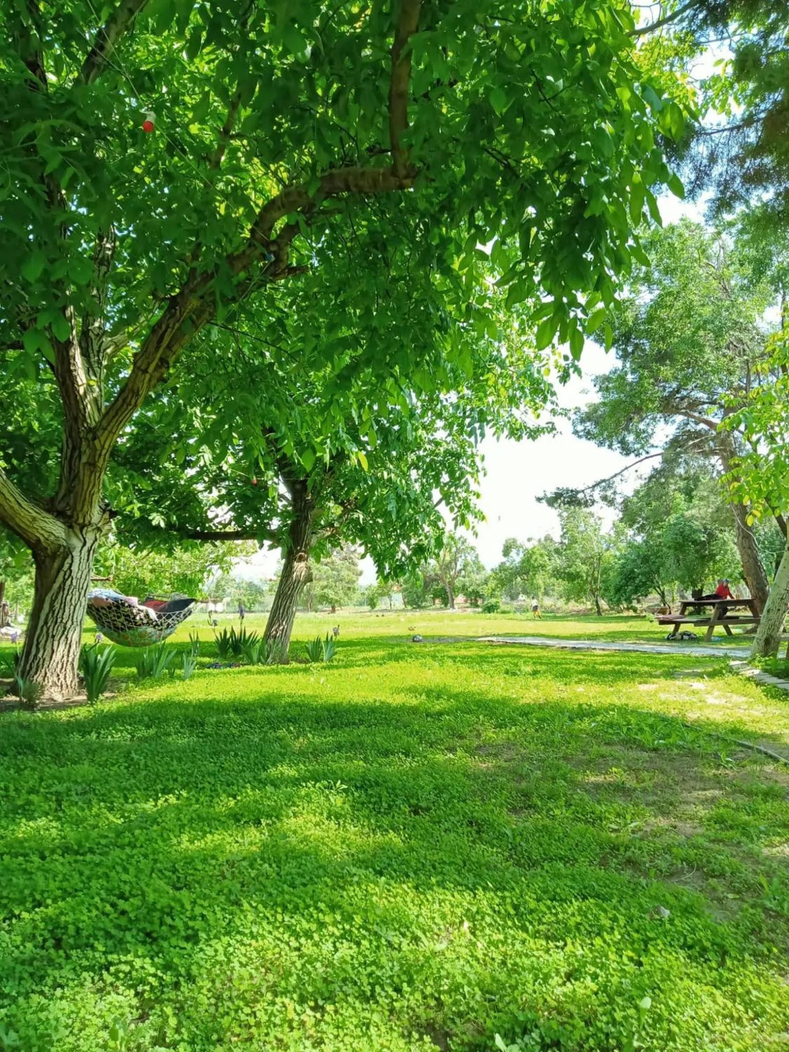 Koca Kapı Konaklama