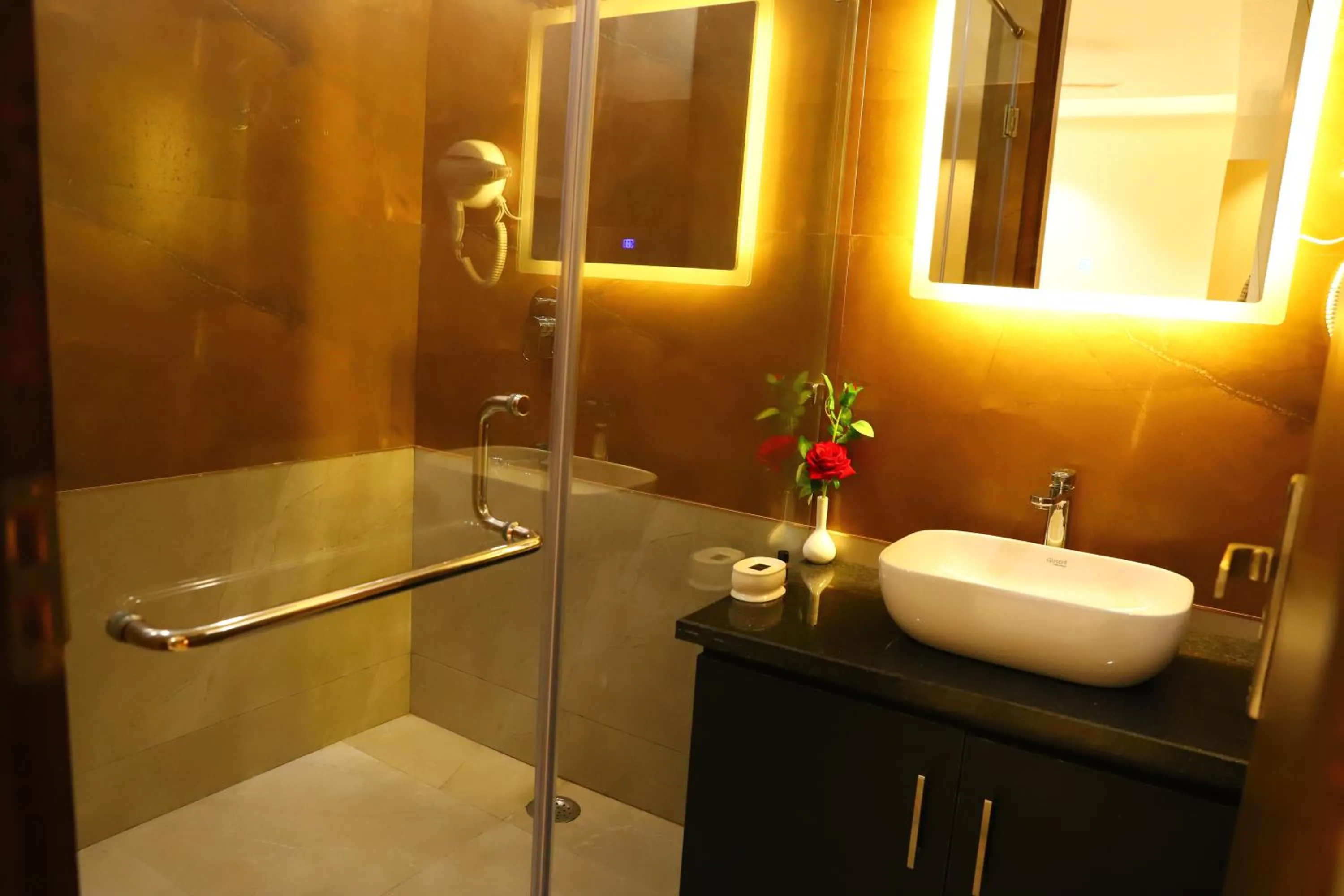 Hotel Malbork Inn Rajouri Garden Delhi - Couple Friendly Local IDs Accepted