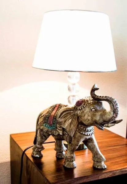 Animals in NIKARA Luxury Beach House