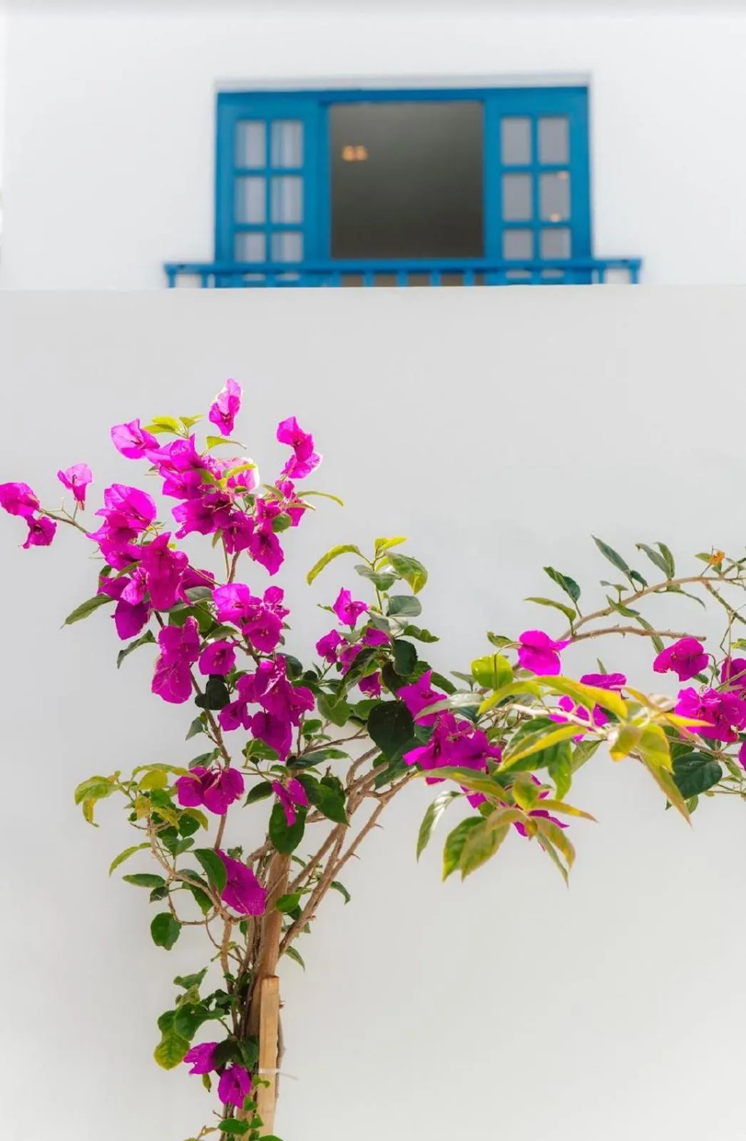 Pousada Villa Santô