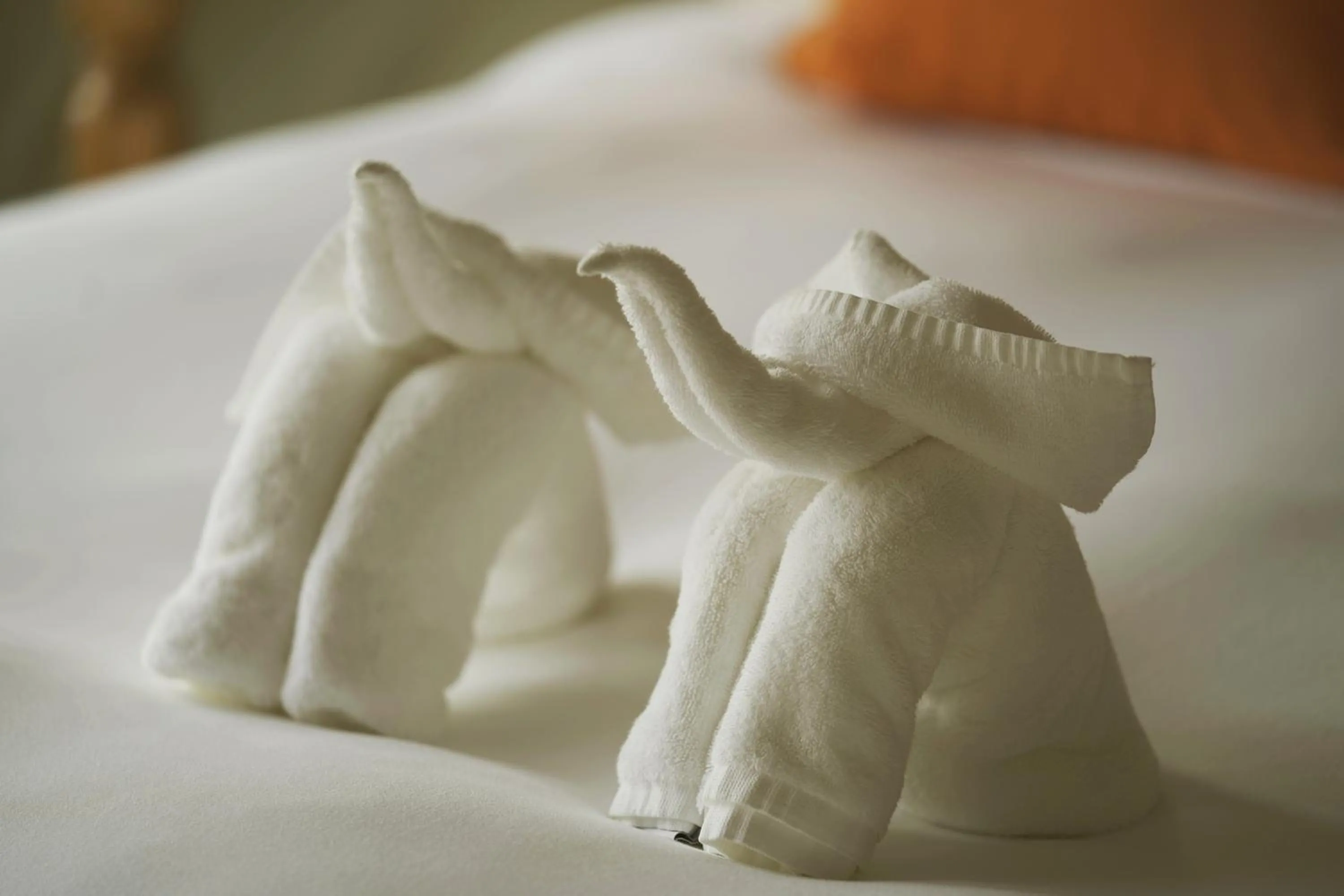 Decorative detail, Bed in Visama Explorer Nan