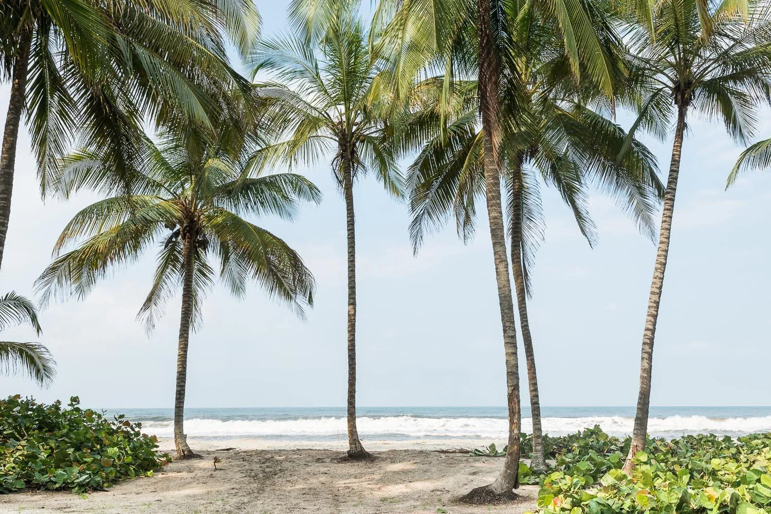 Beach in Tayrona Tented Lodge
