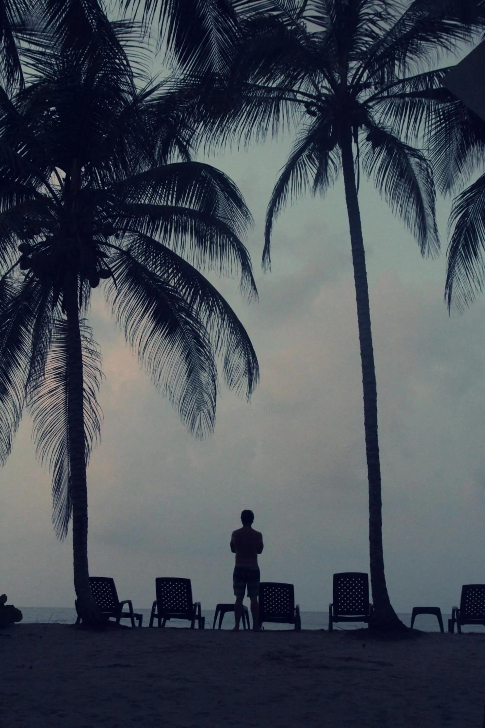 Beach in Tayrona Tented Lodge