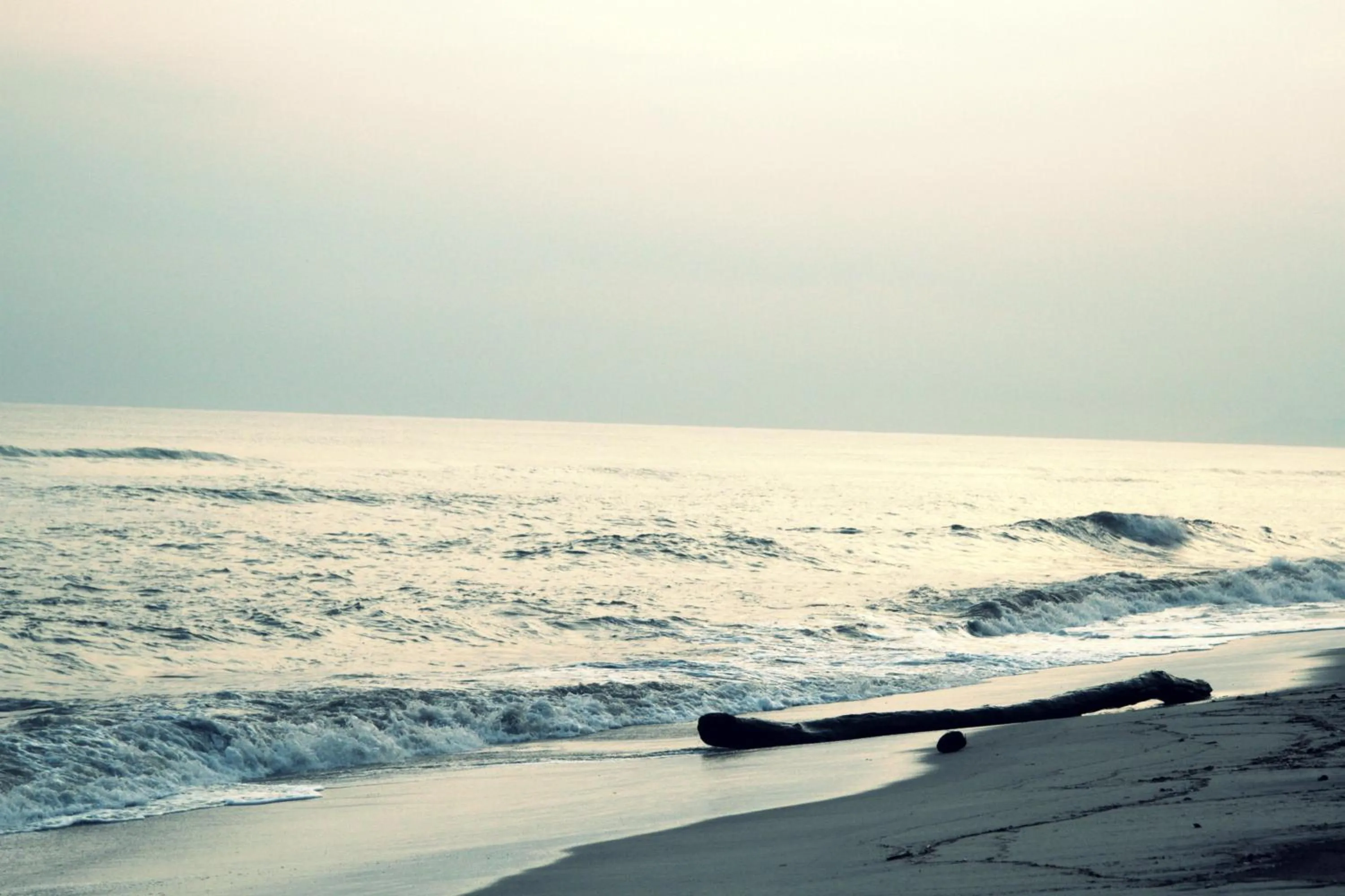 Beach in Tayrona Tented Lodge
