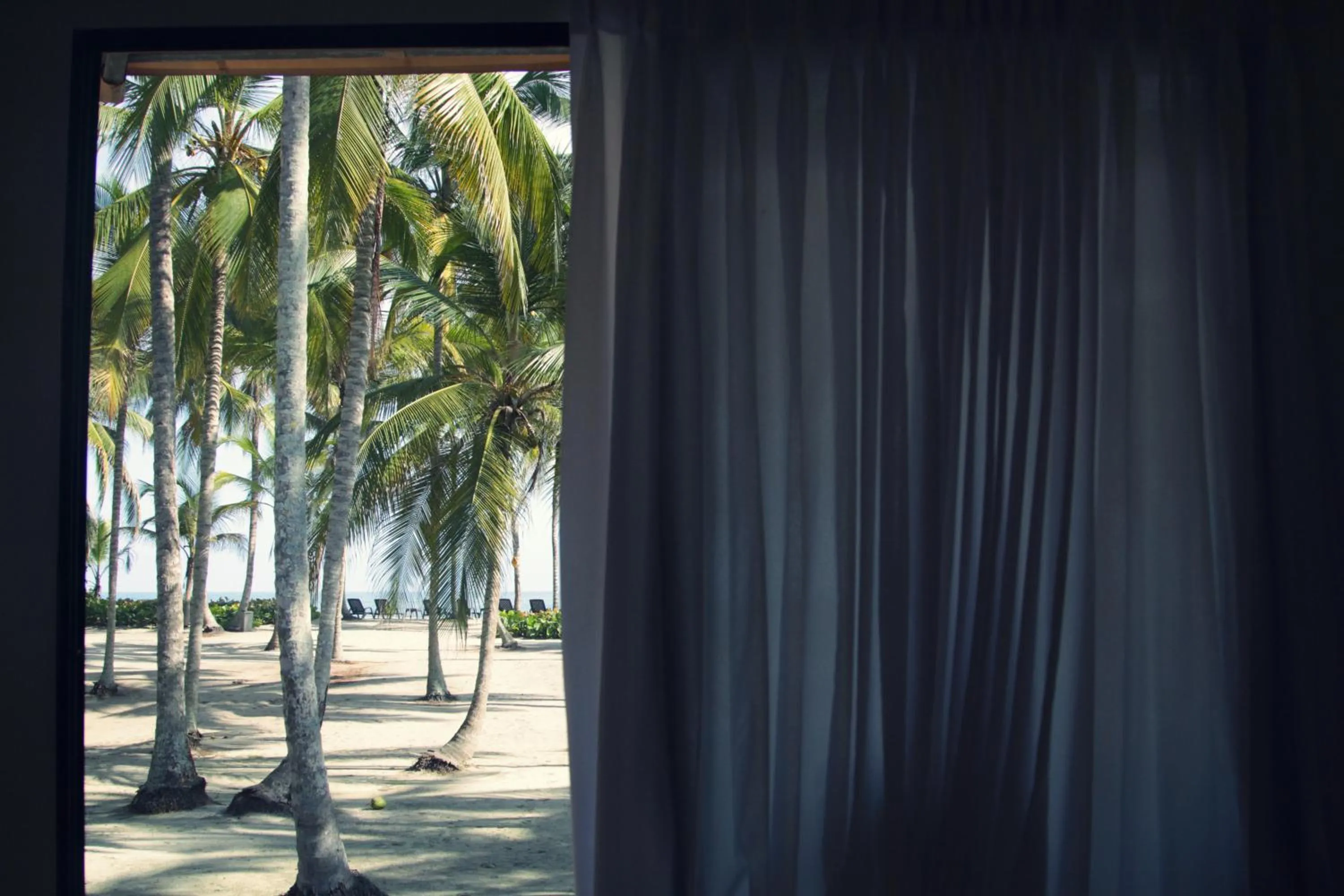 Day in Tayrona Tented Lodge