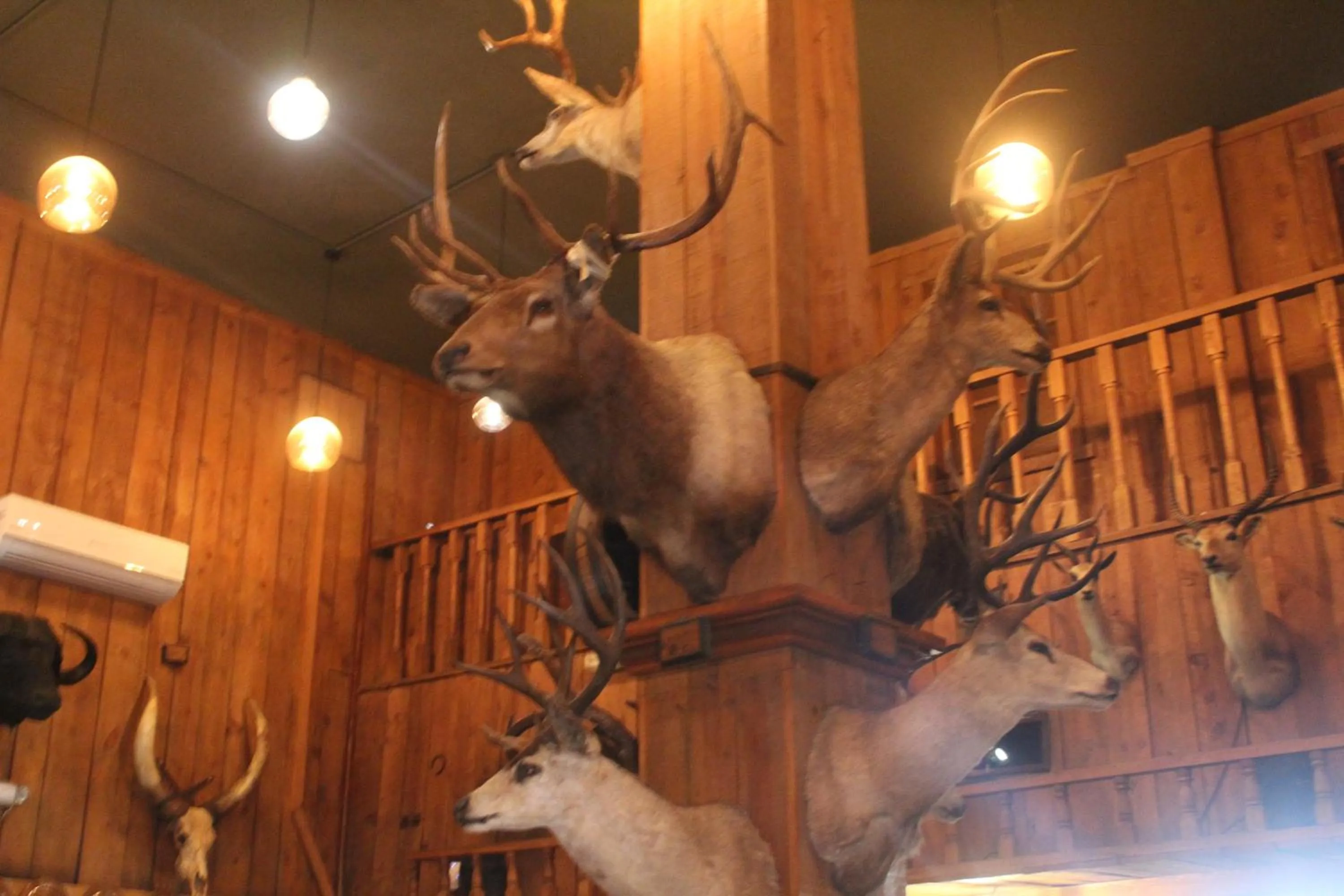 Restaurant/places to eat in Hotel Armida Guaymas