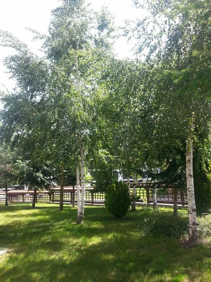 Winslow Infinity Aparthotel