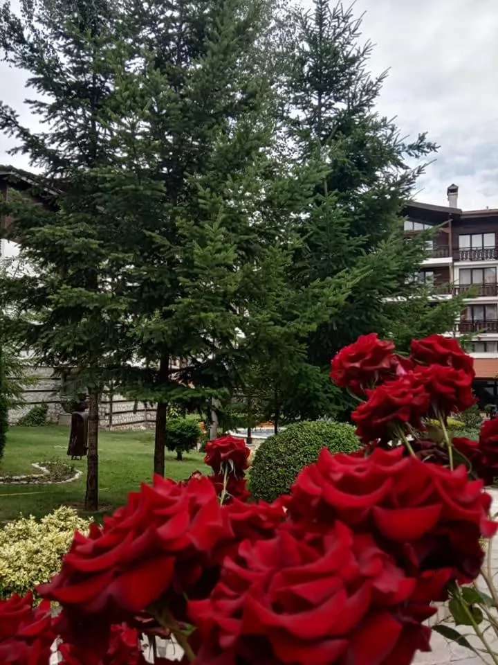 Winslow Infinity Aparthotel