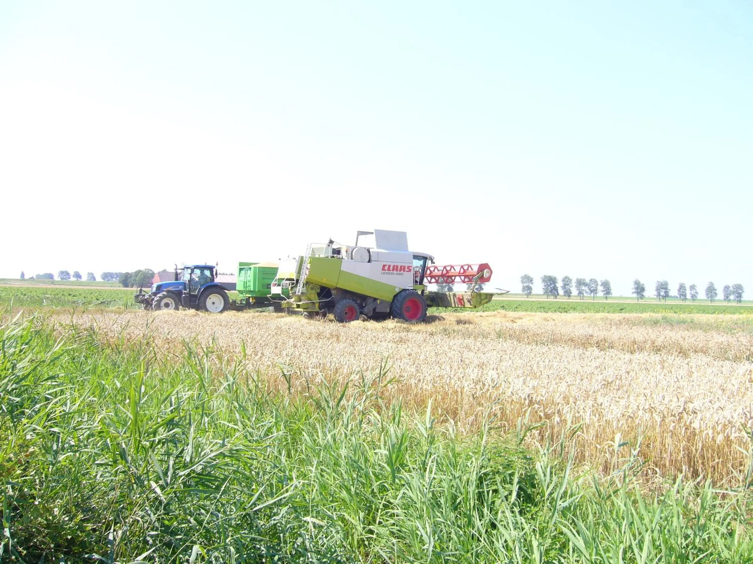 View (from property/room) in B&B Korendijk