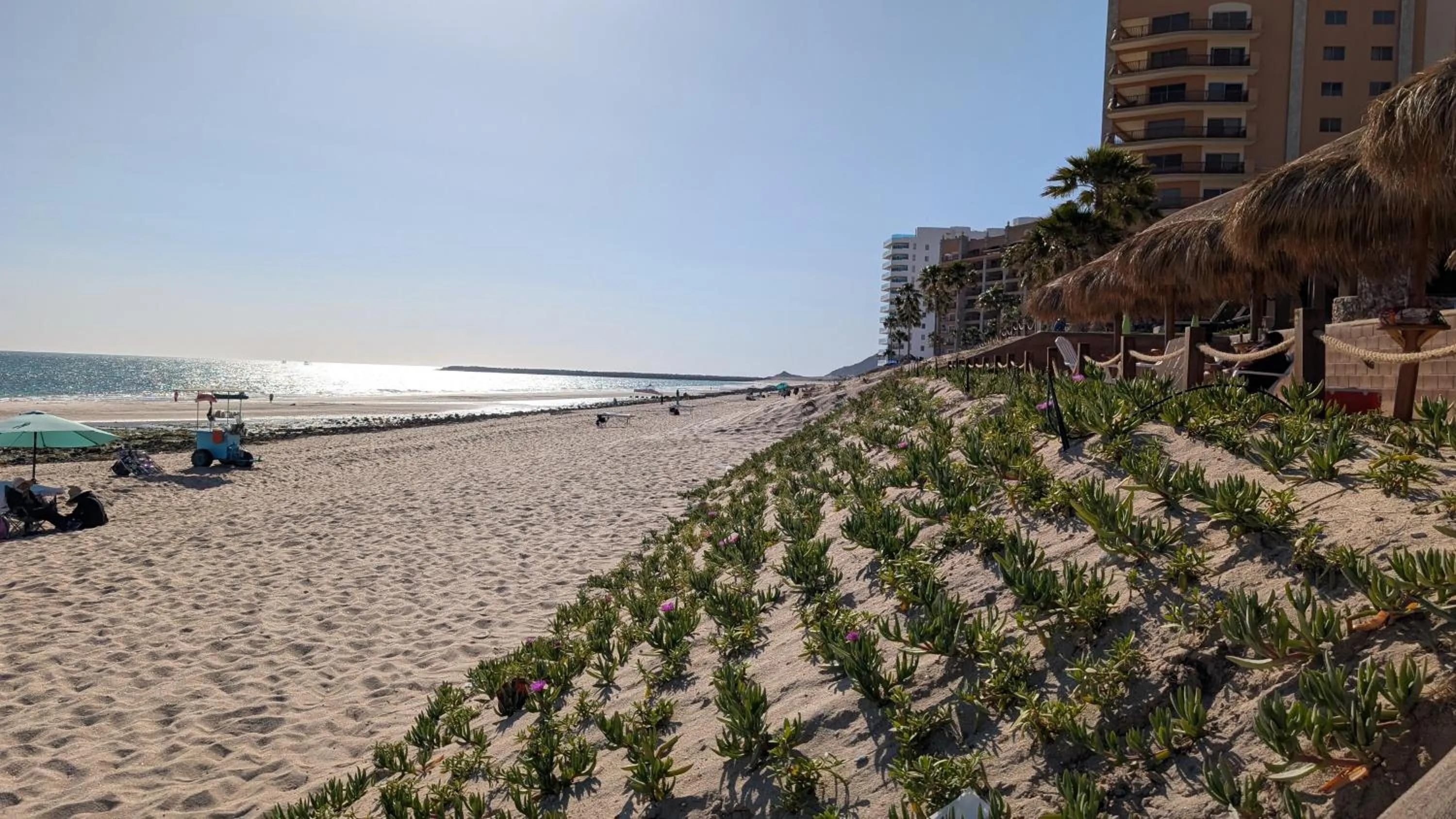 View (from property/room) in Bella Sirena 601-B -Stylish Condo in Oceanfront Resort