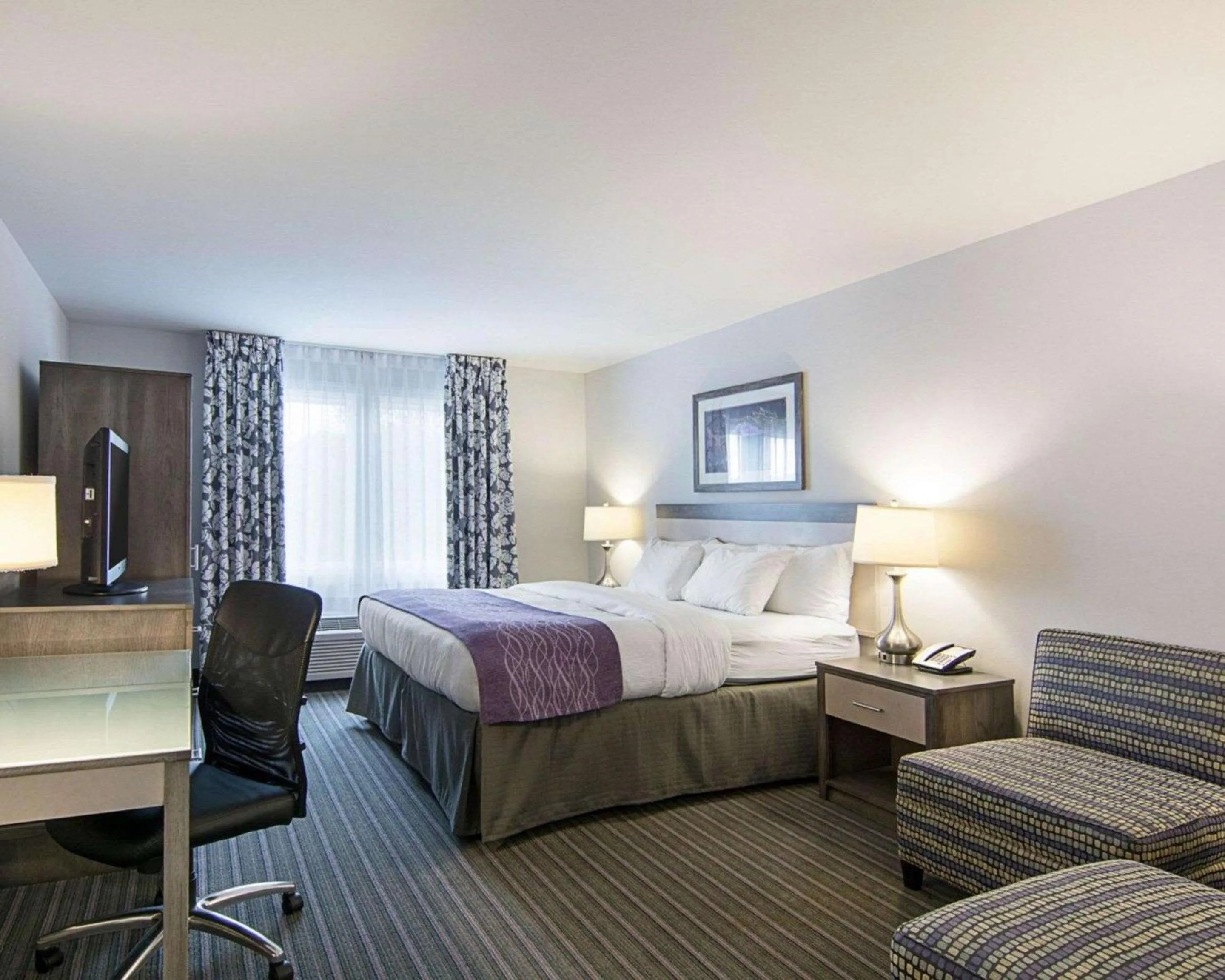 Bedroom, Bed in Comfort Inn Williamsburg Gateway