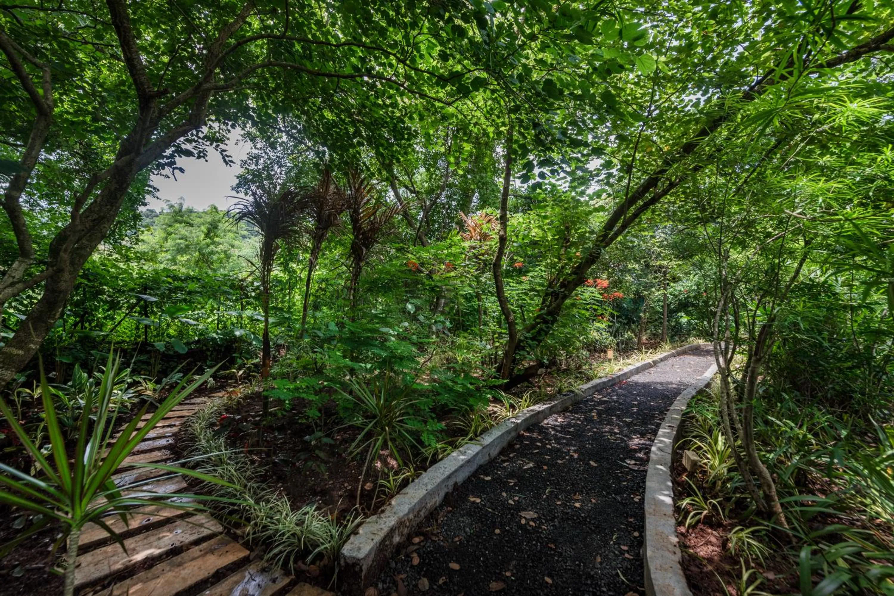 Natural landscape in SaffronStays Estella, Alibaug