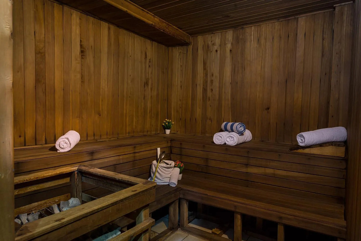 Sauna in HOTEL CENTRAL PARK & CONFERENCE CENTRE