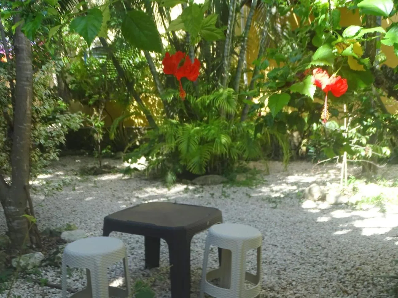 Garden in Casa Abanico Tulum