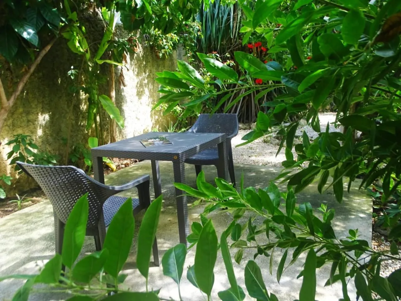 Garden in Casa Abanico Tulum