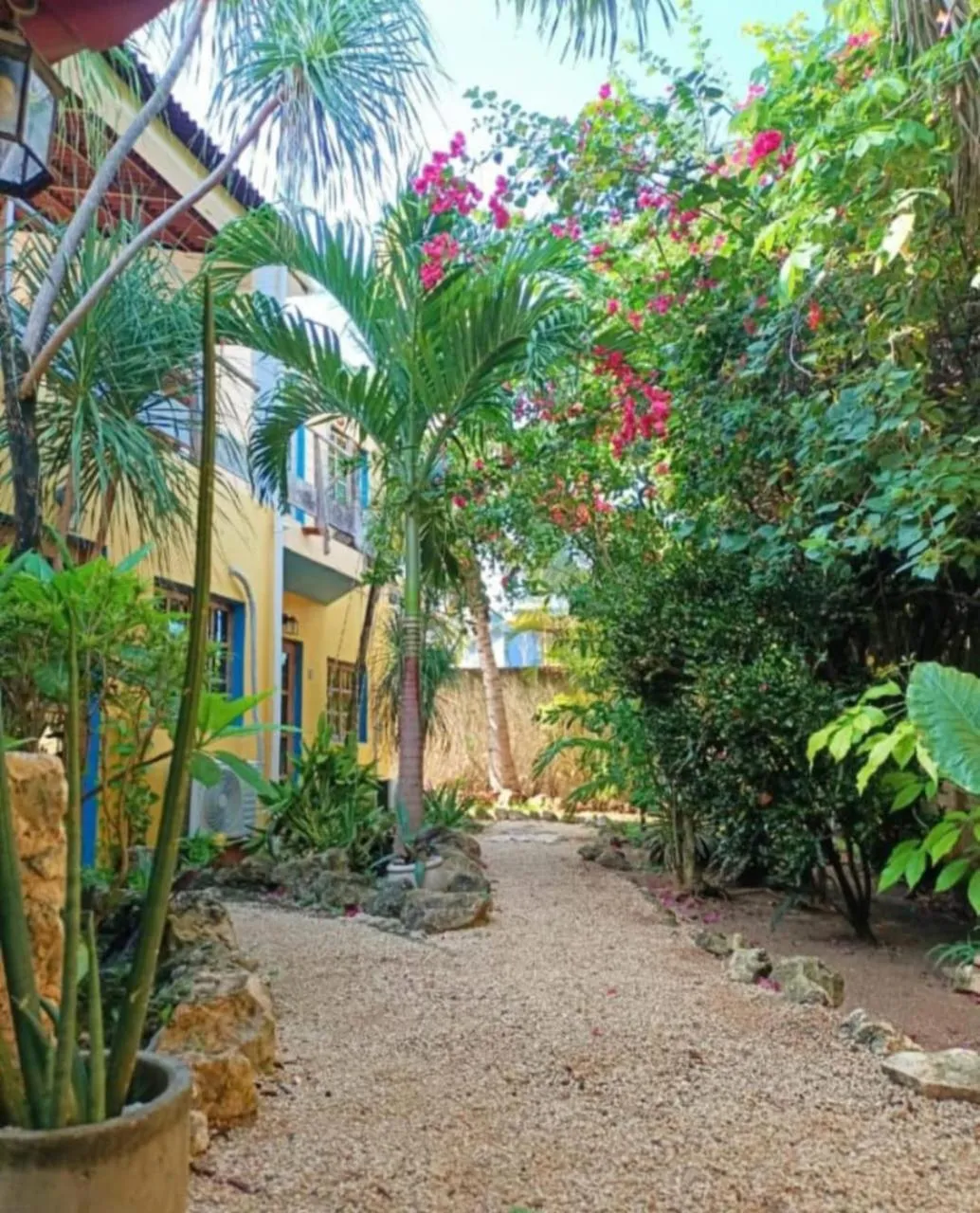 Garden in Casa Abanico Tulum