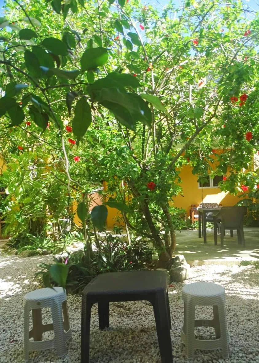 Garden in Casa Abanico Tulum