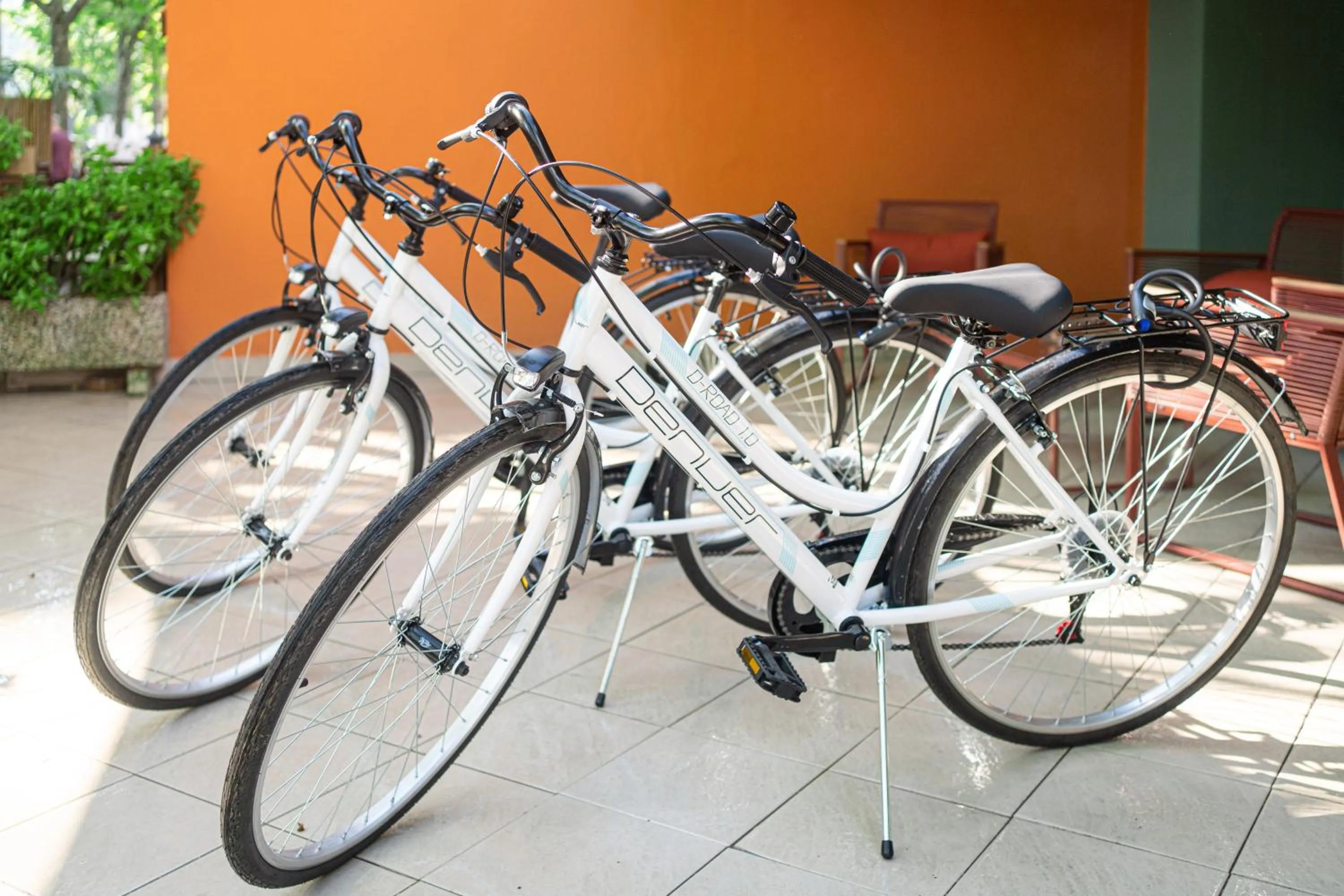 Cycling in Lime Hotel