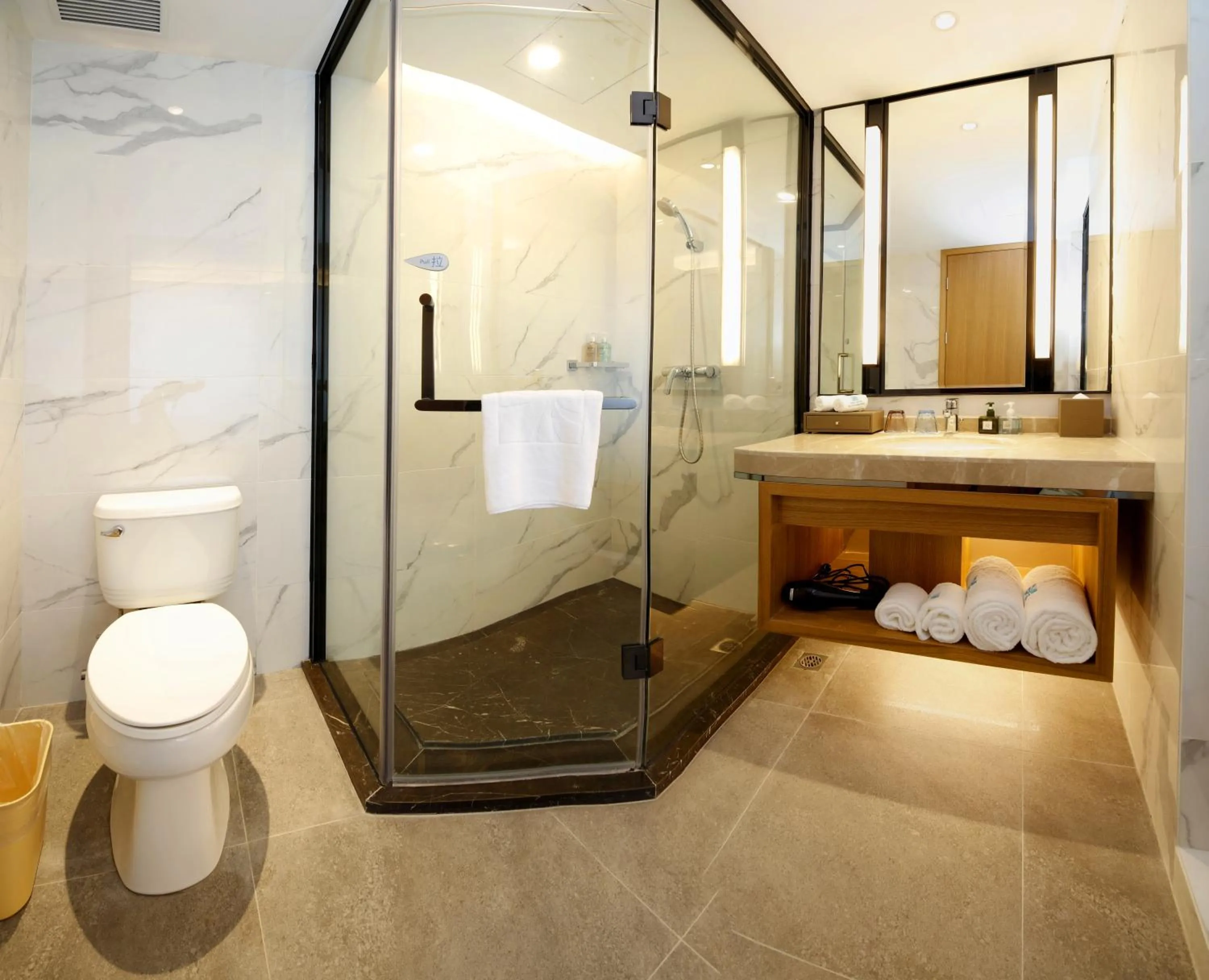 Toilet in Rising Dragon International Hotel