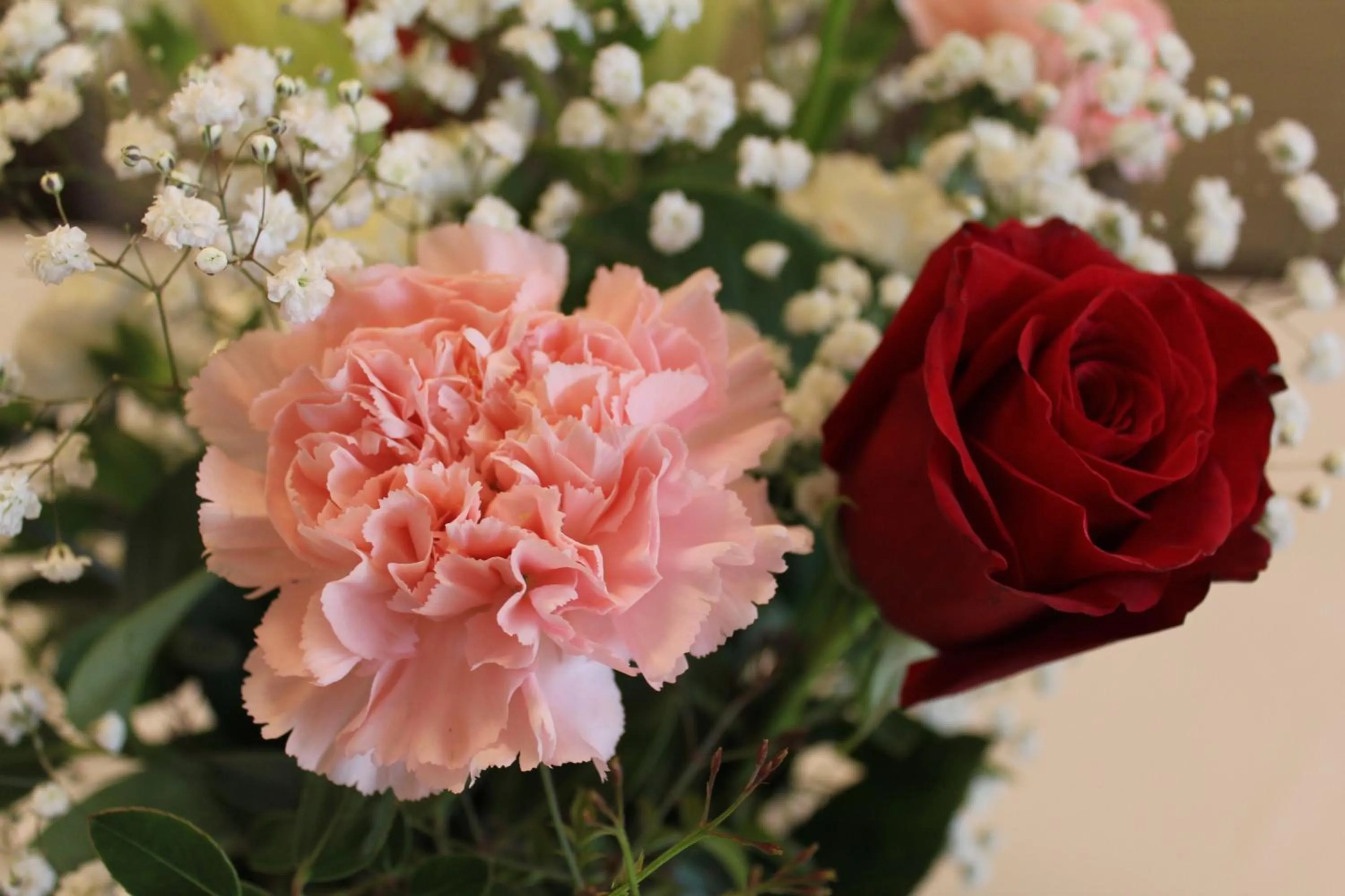 Decorative detail in Sandpipers @ Millicent