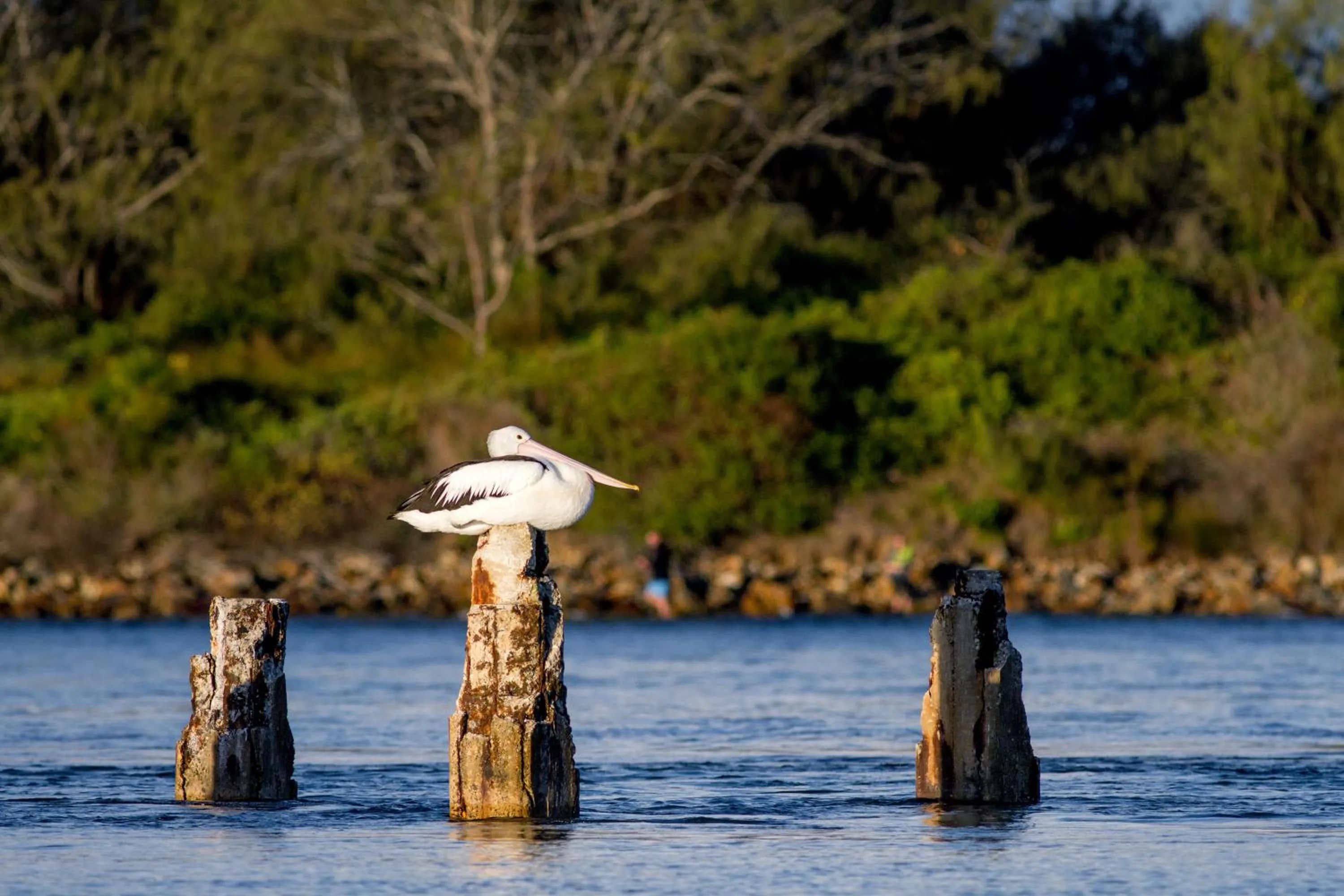 Area and facilities in Reflections Urunga - Holiday Park