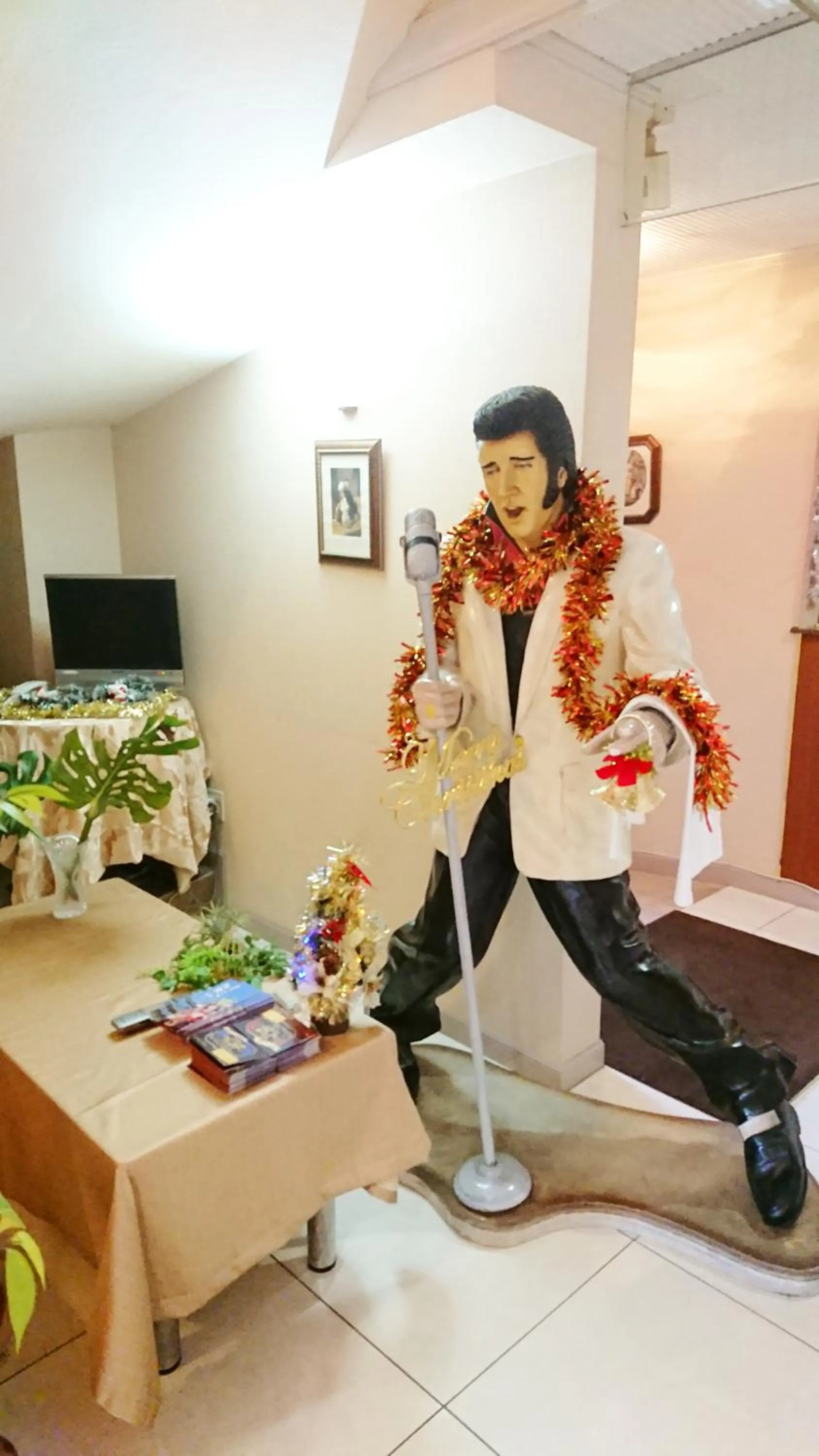 Decorative detail in Hotel TO