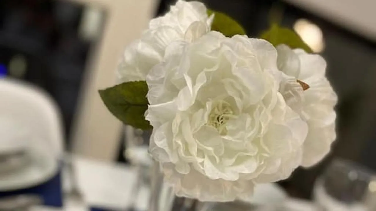 Other in Luxury Apartment - Town Centre North Stevenage