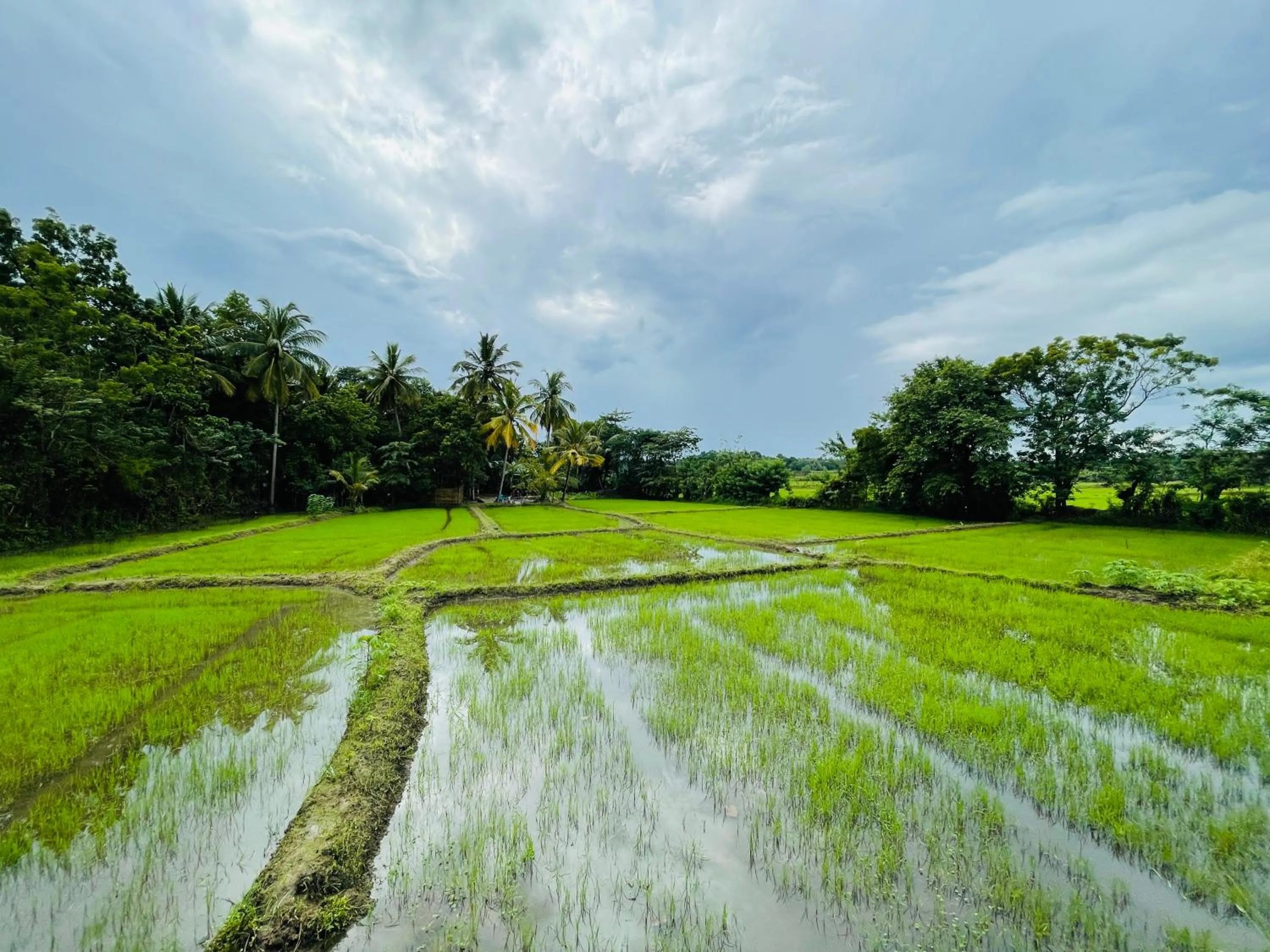 Tishan Holiday Resort