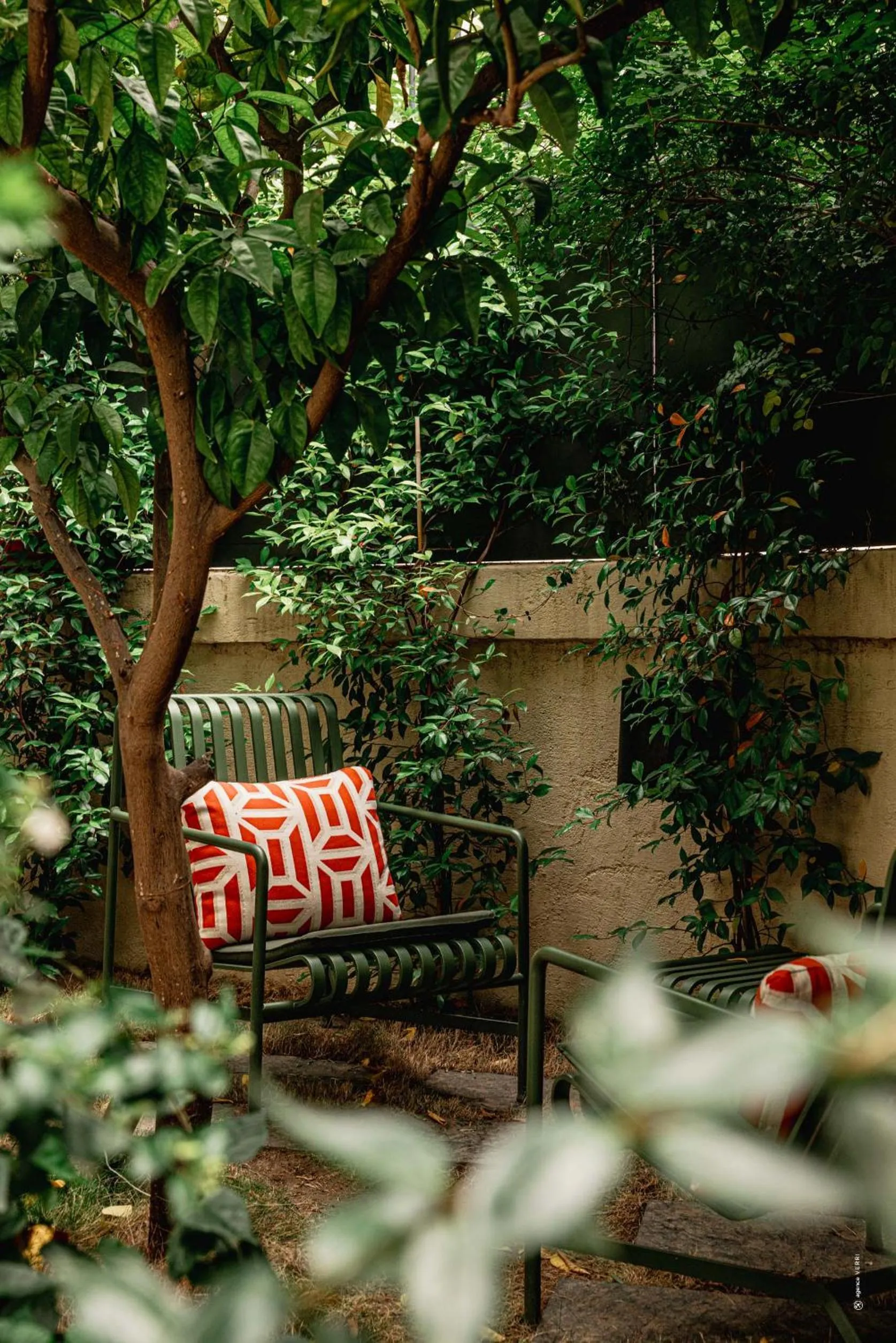 Garden in Hôtel Le Mosaïque