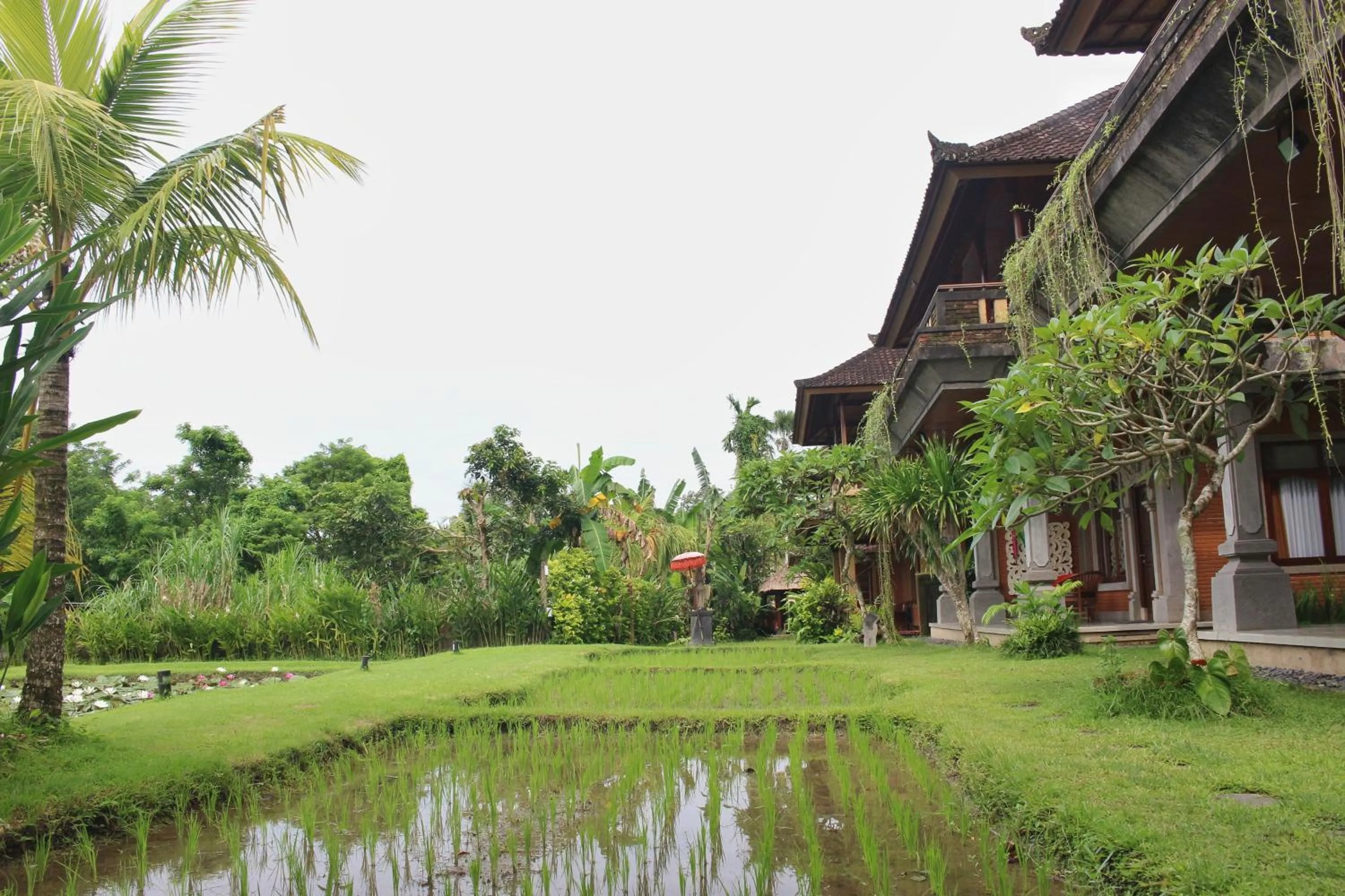 Garden in Saren Indah Hotel