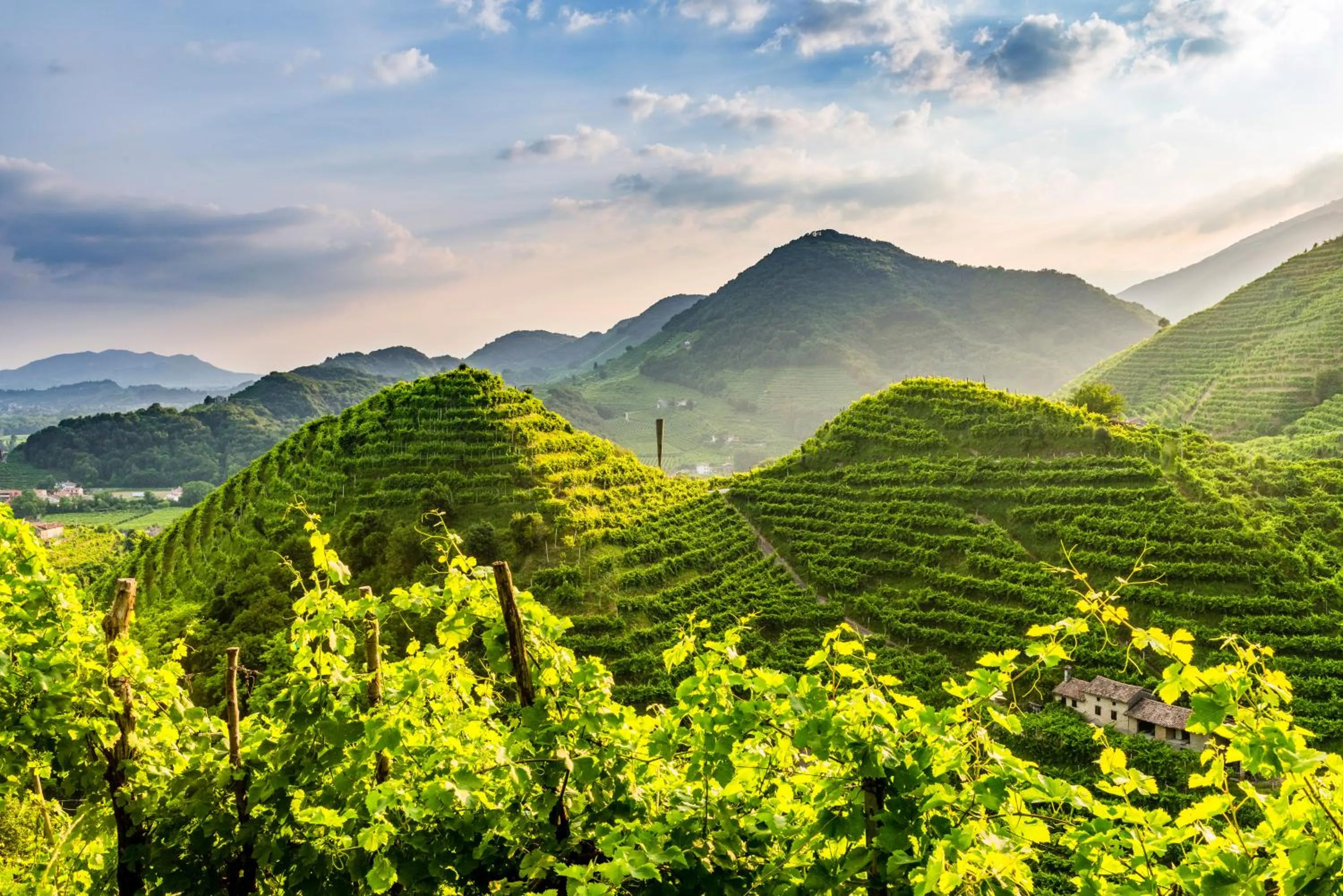 Nearby landmark in Charming Hotel dei Chiostri