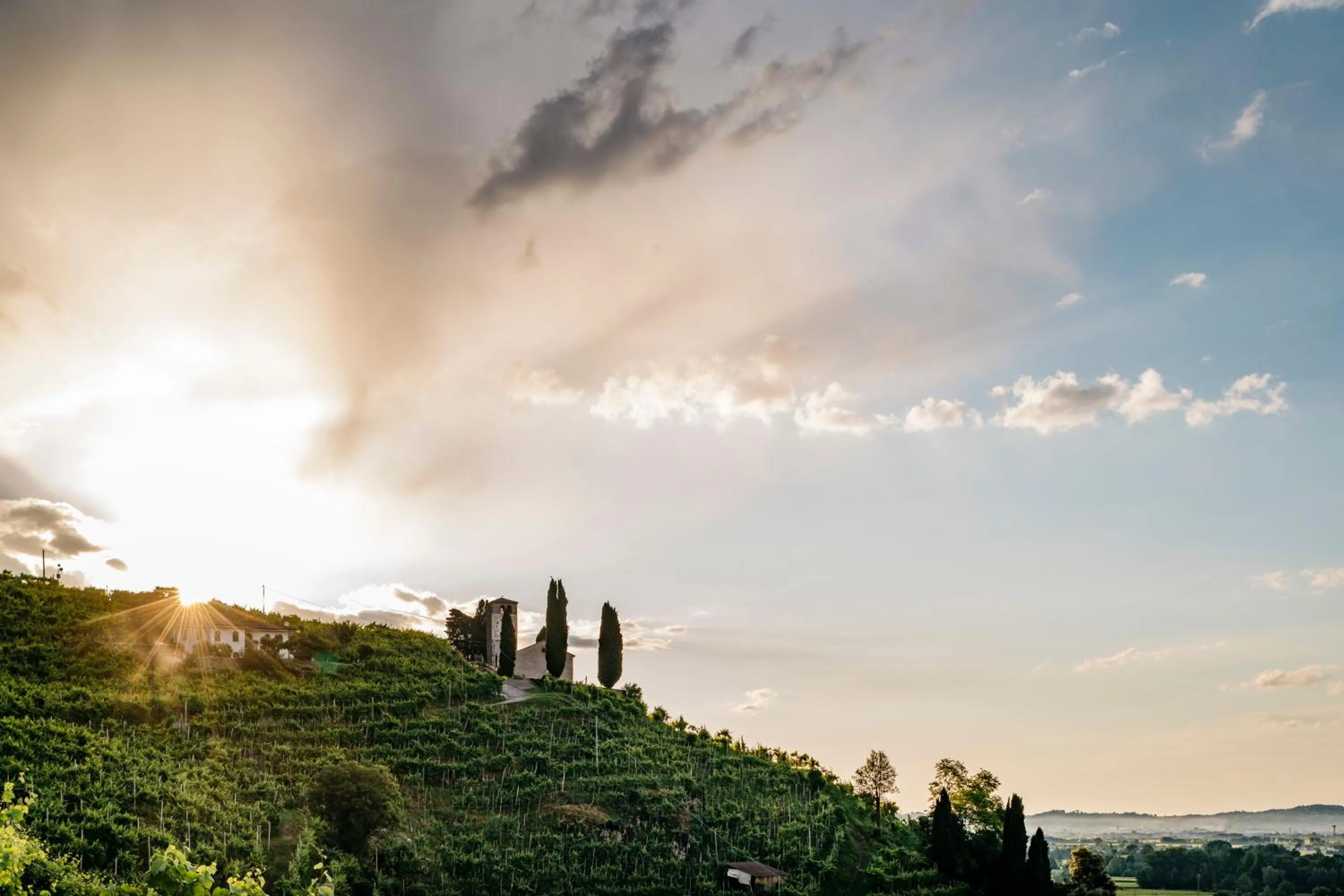 Natural landscape in Charming Hotel dei Chiostri