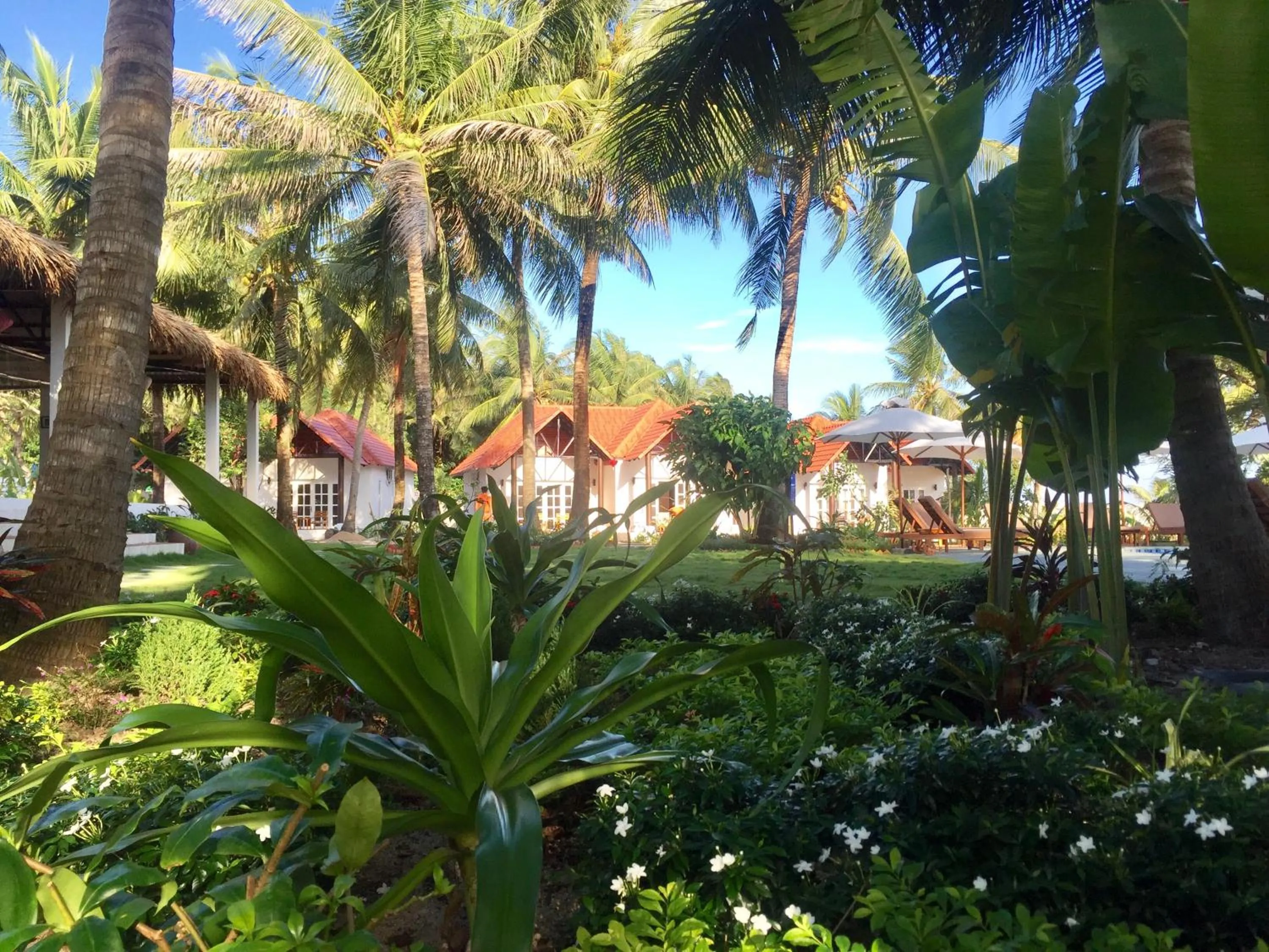 Garden in Peppercorn Beach Resort