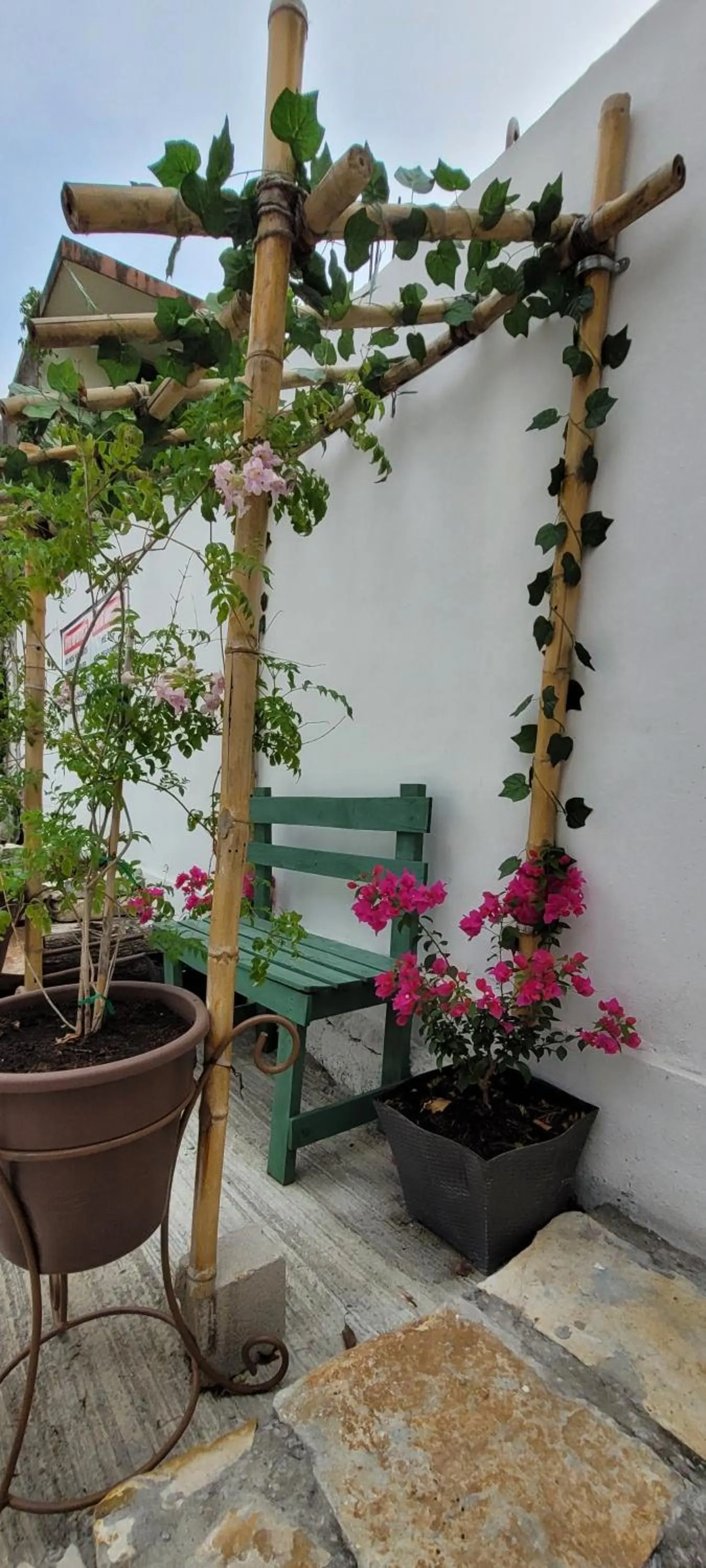 Balcony/Terrace in Doña Adelina House
