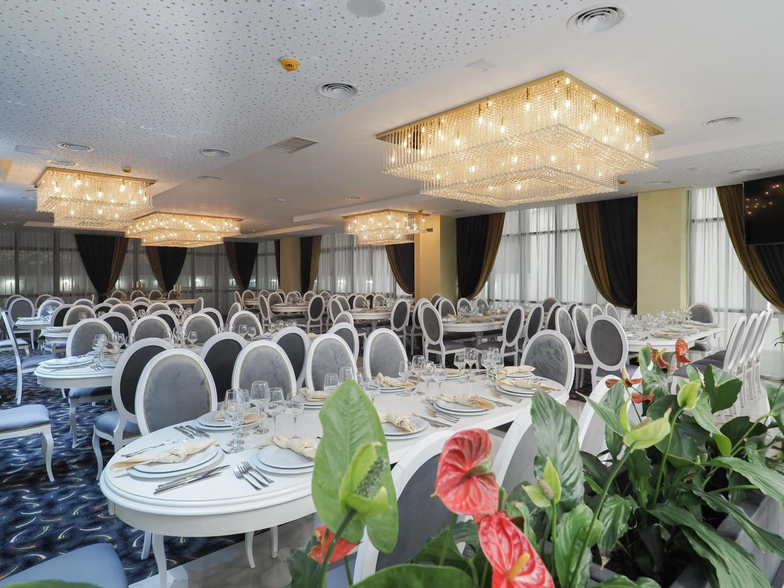 Banquet/Function facilities in Hotel Anastasia