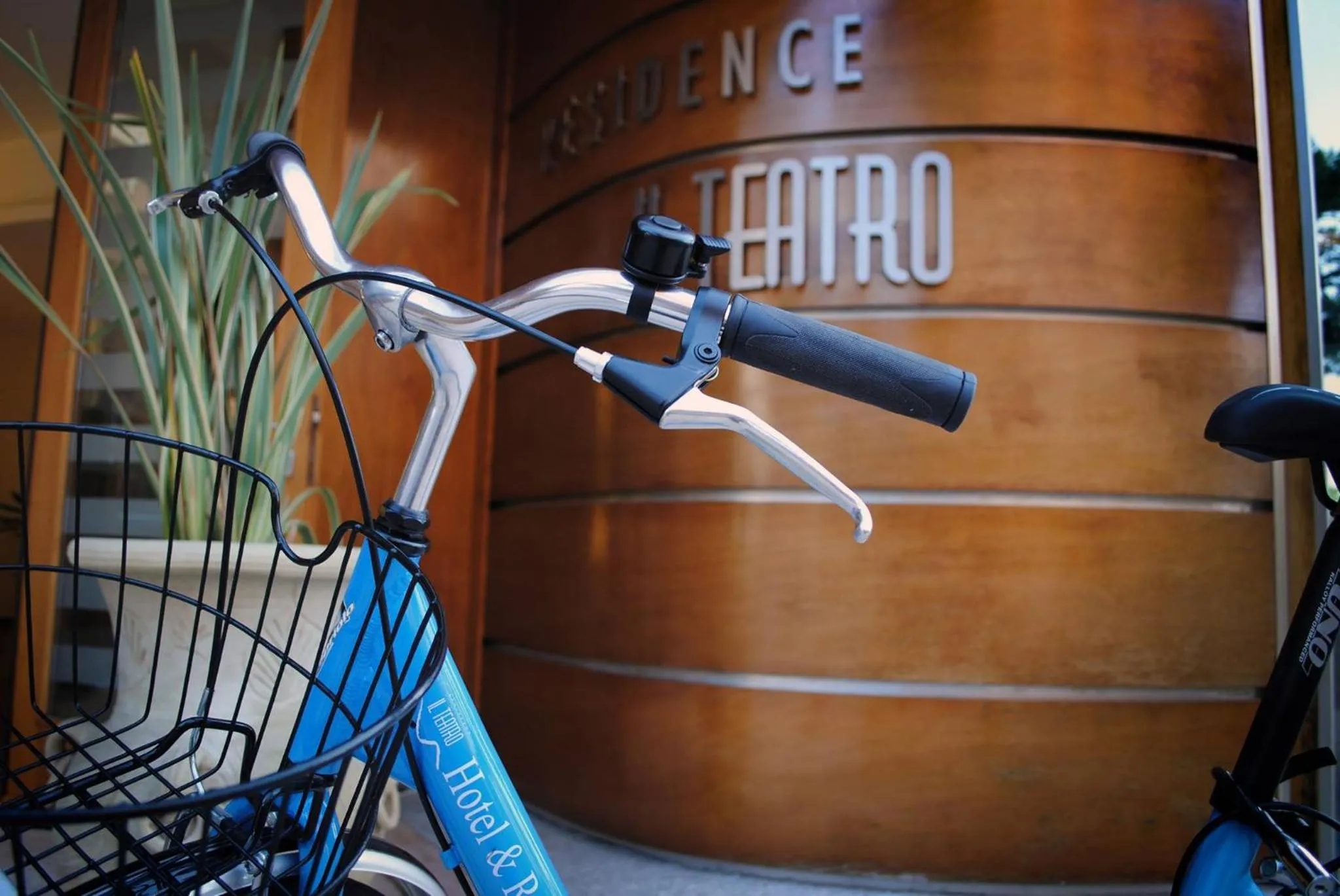 Activities in Il Teatro