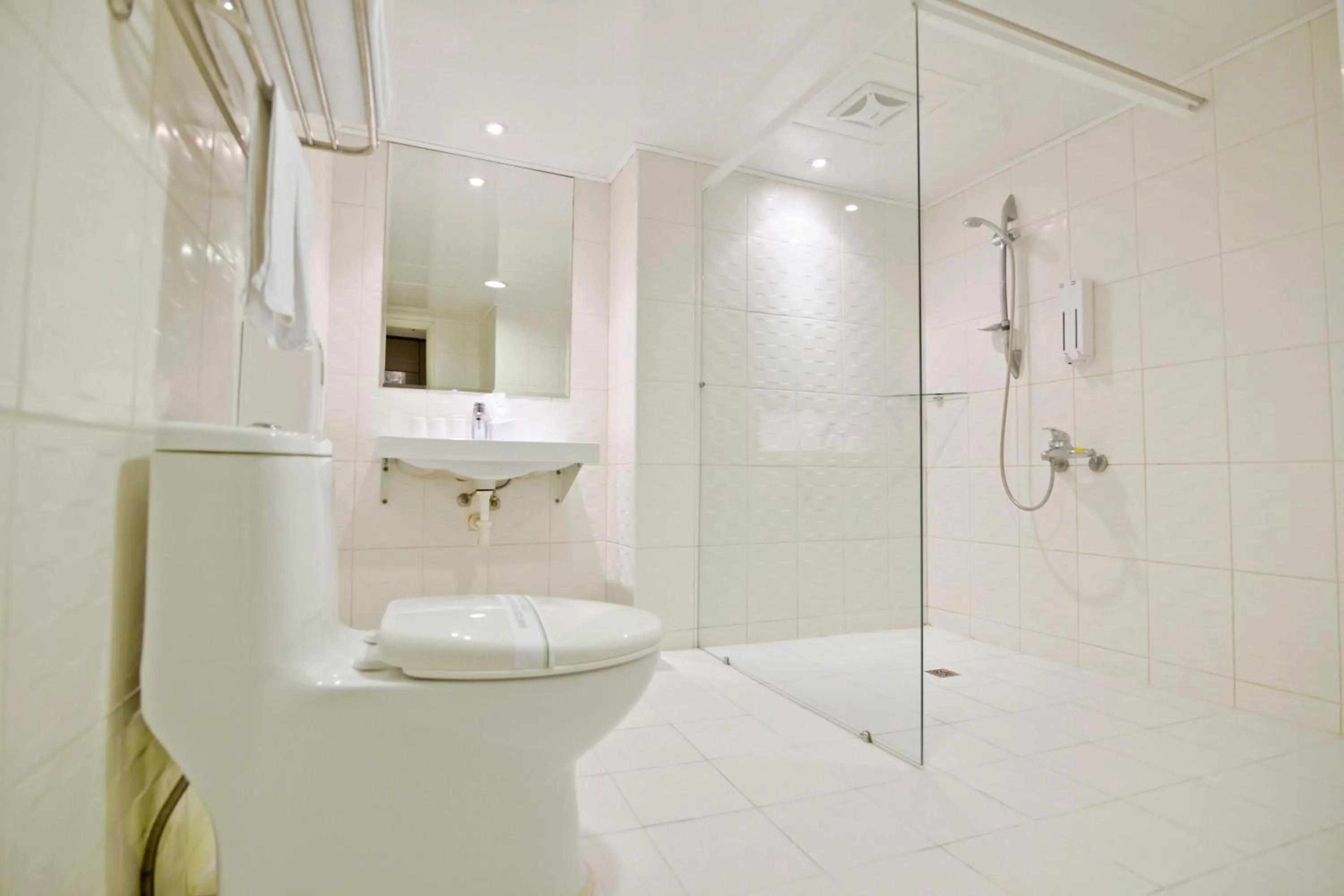 Bathroom in Palmer Hotel