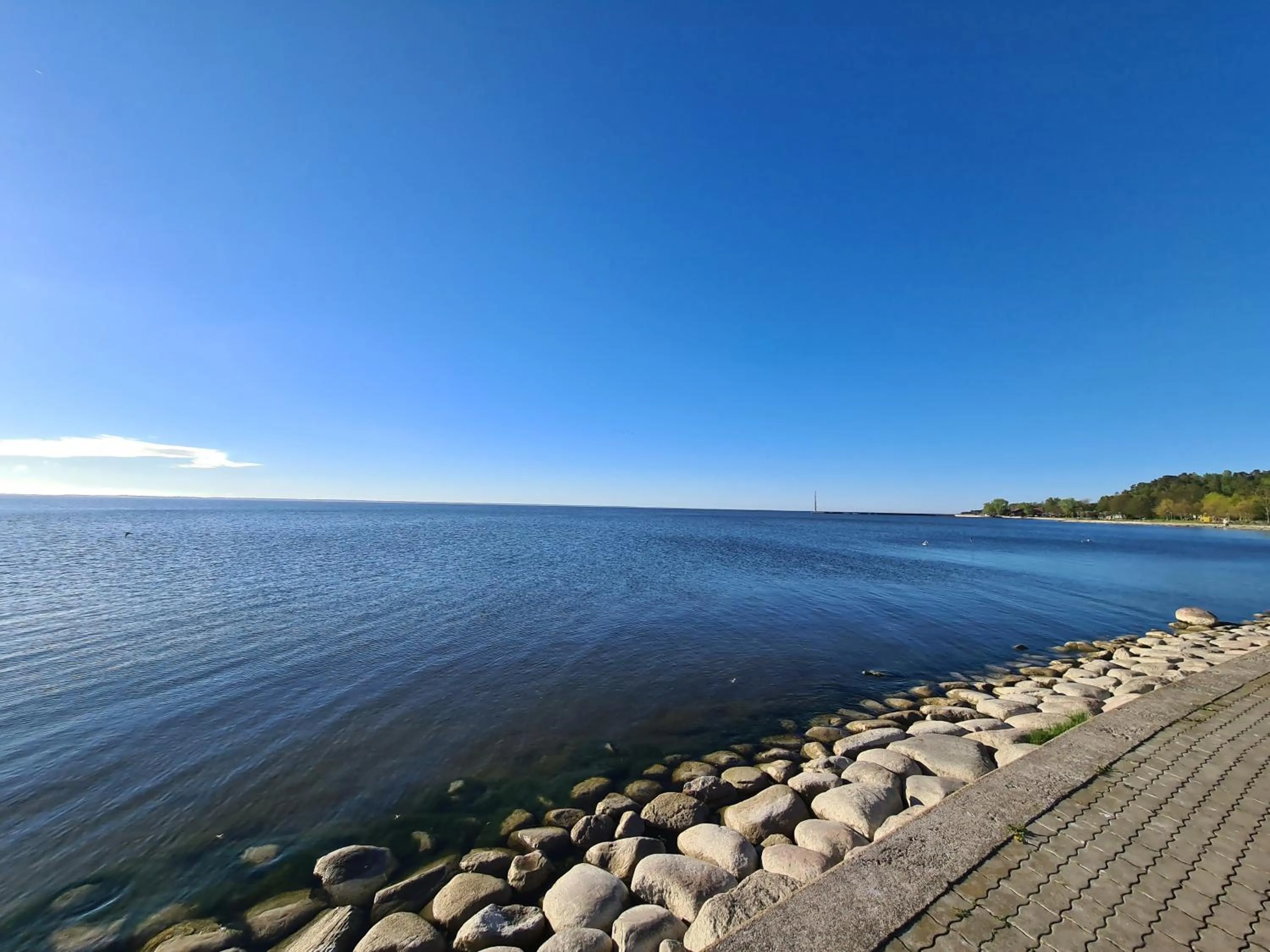 Natural landscape in Villa Loebel 1881