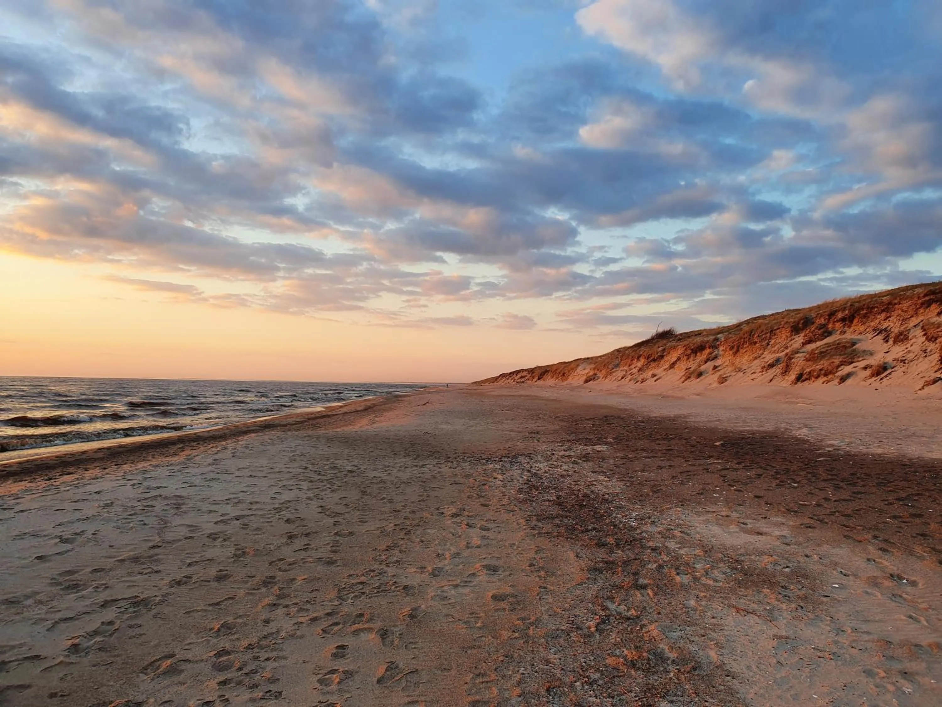 Natural landscape in Villa Loebel 1881
