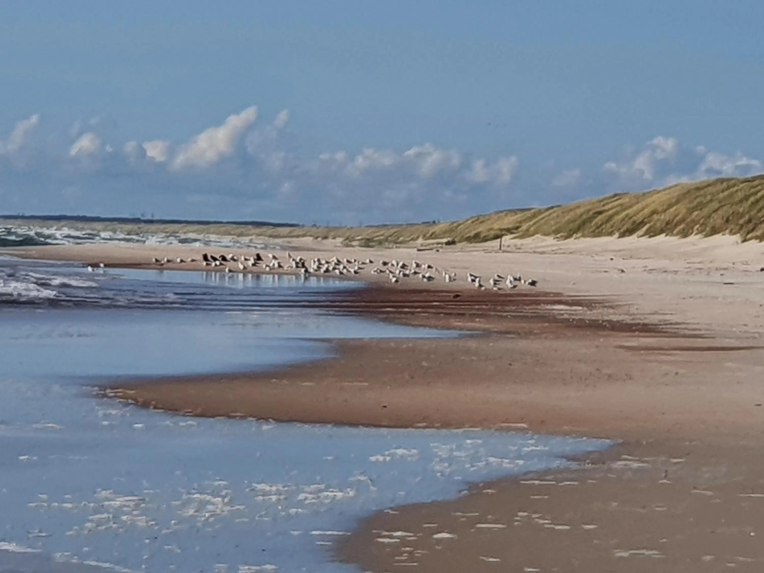 Natural landscape in Villa Loebel 1881