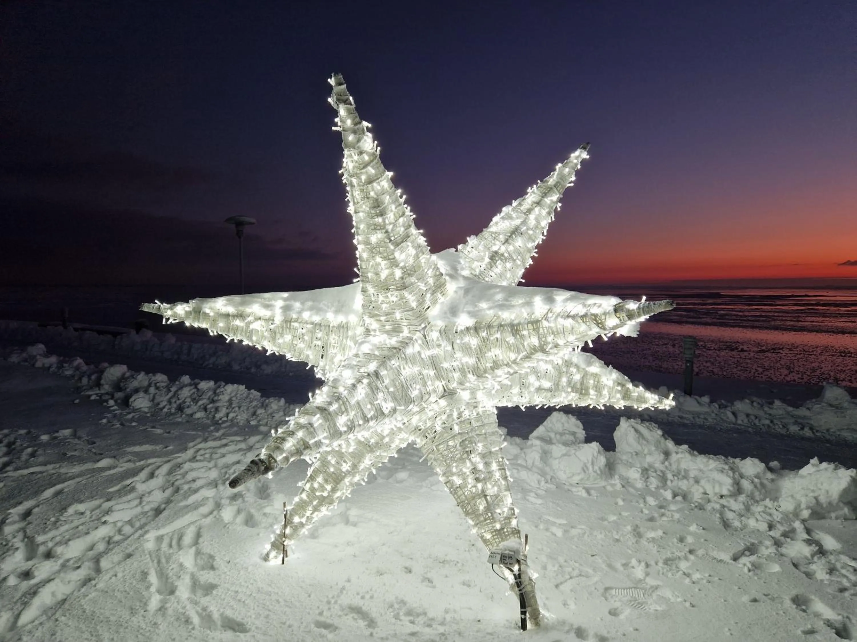 Winter in Villa Loebel 1881