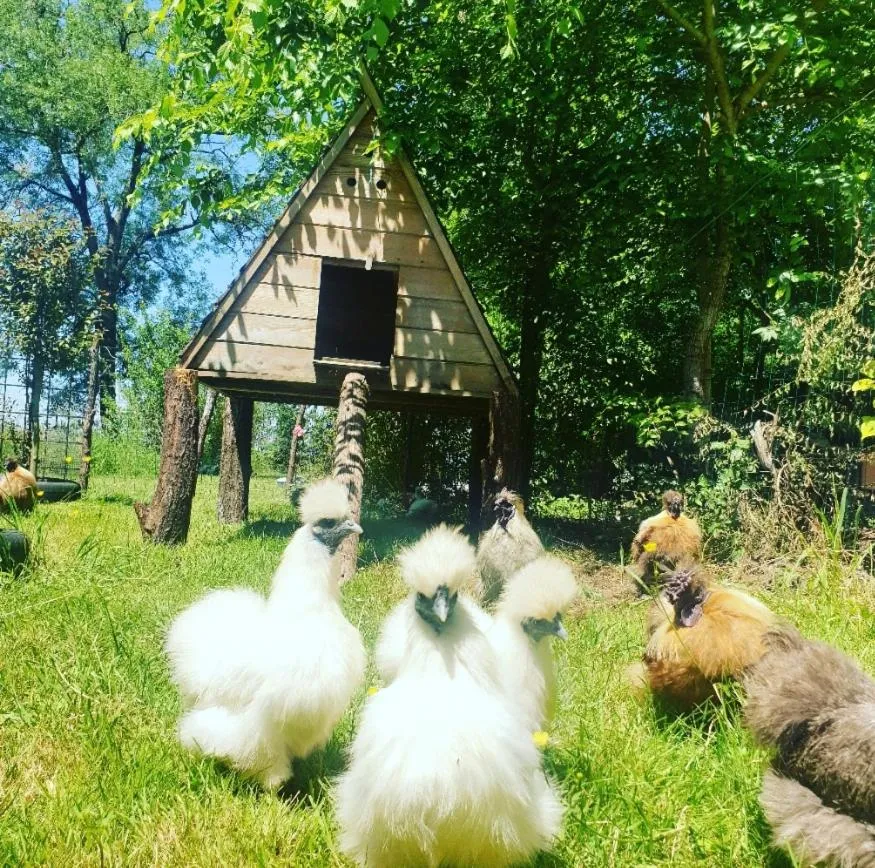 La Fontenelle Chambres d'Hôtes