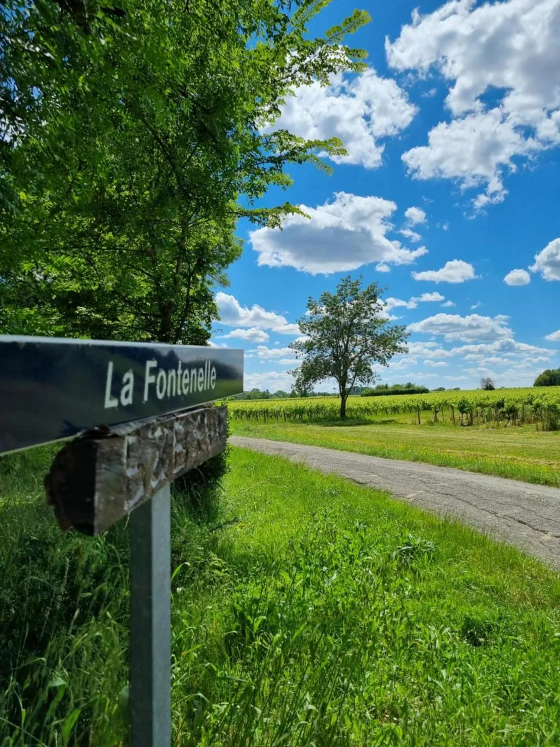 Spring in La Fontenelle Chambres d'Hôtes