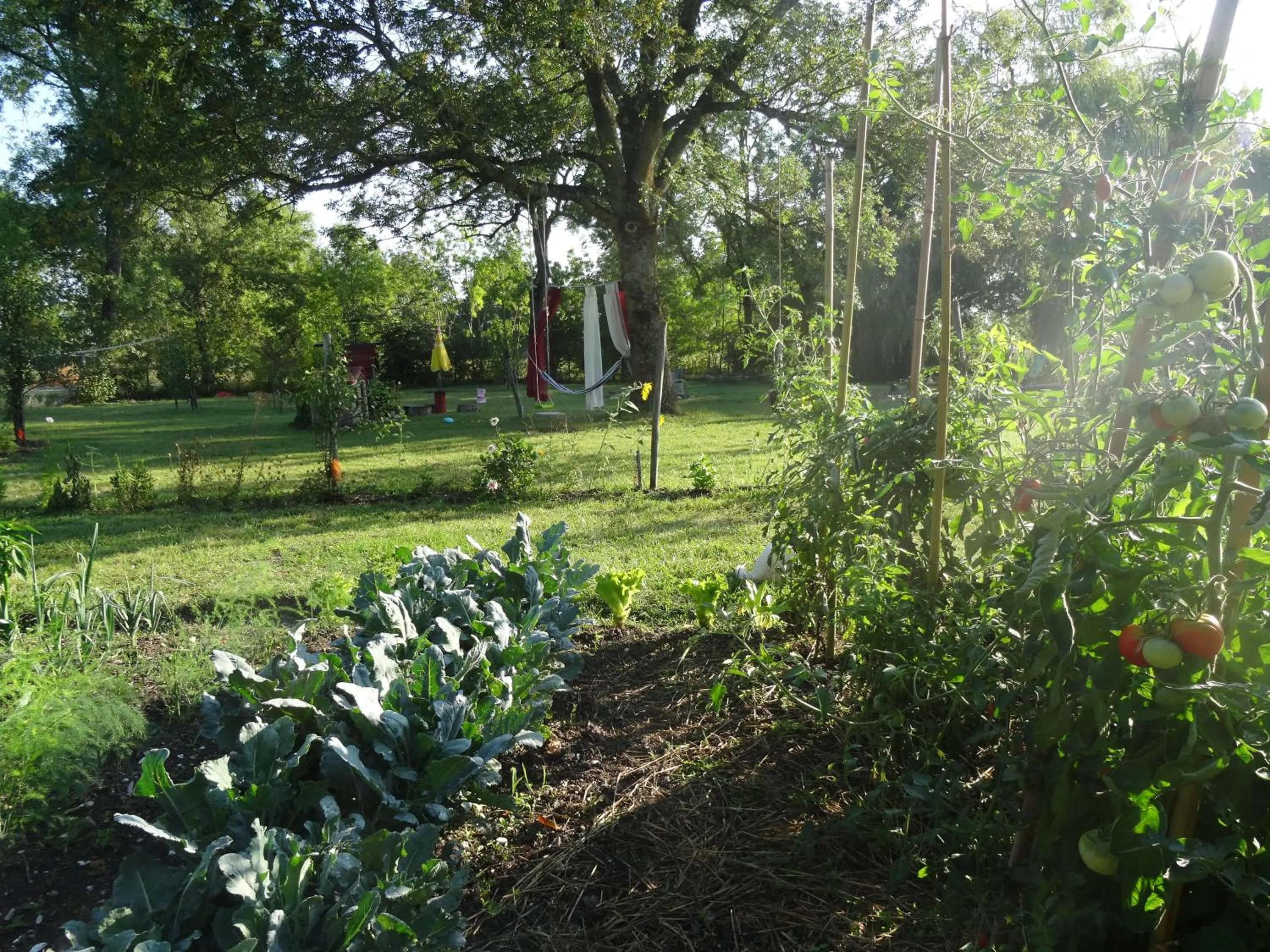 Garden in La Fontenelle Chambres d'Hôtes