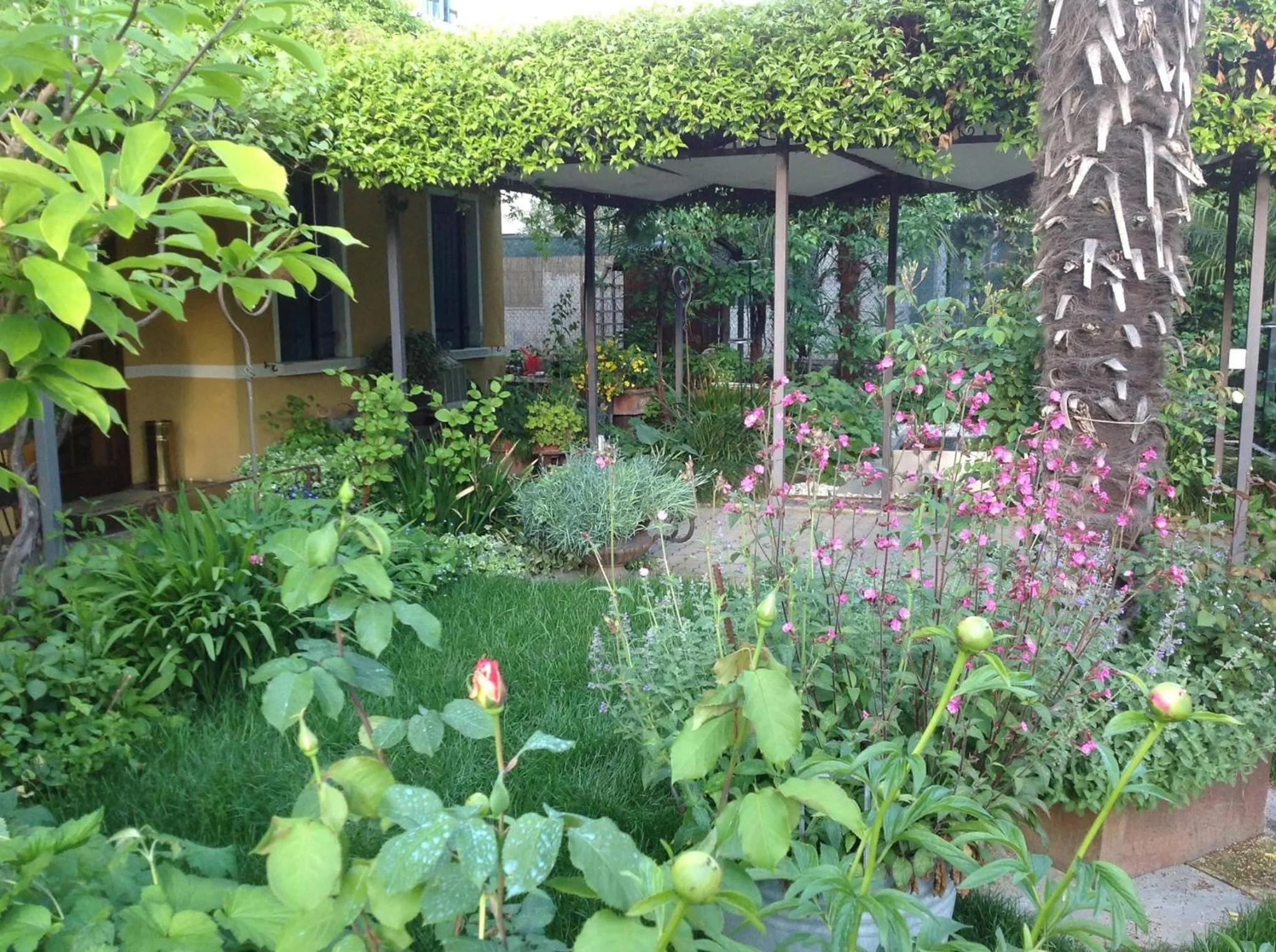 Garden in Antica Villa Graziella Venice - Atika & Atif