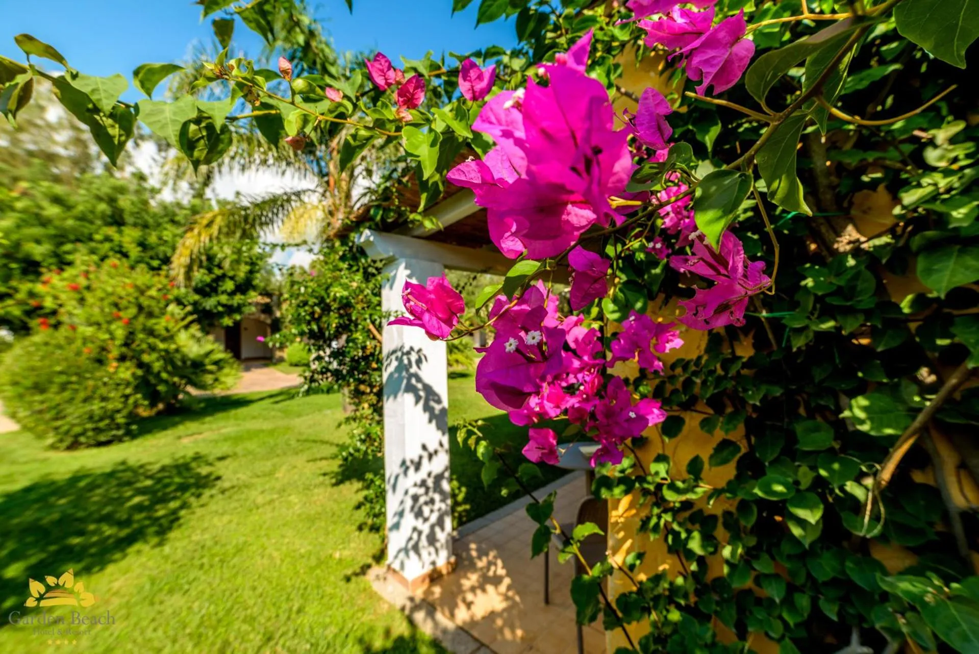 View (from property/room) in Hotel Garden Beach