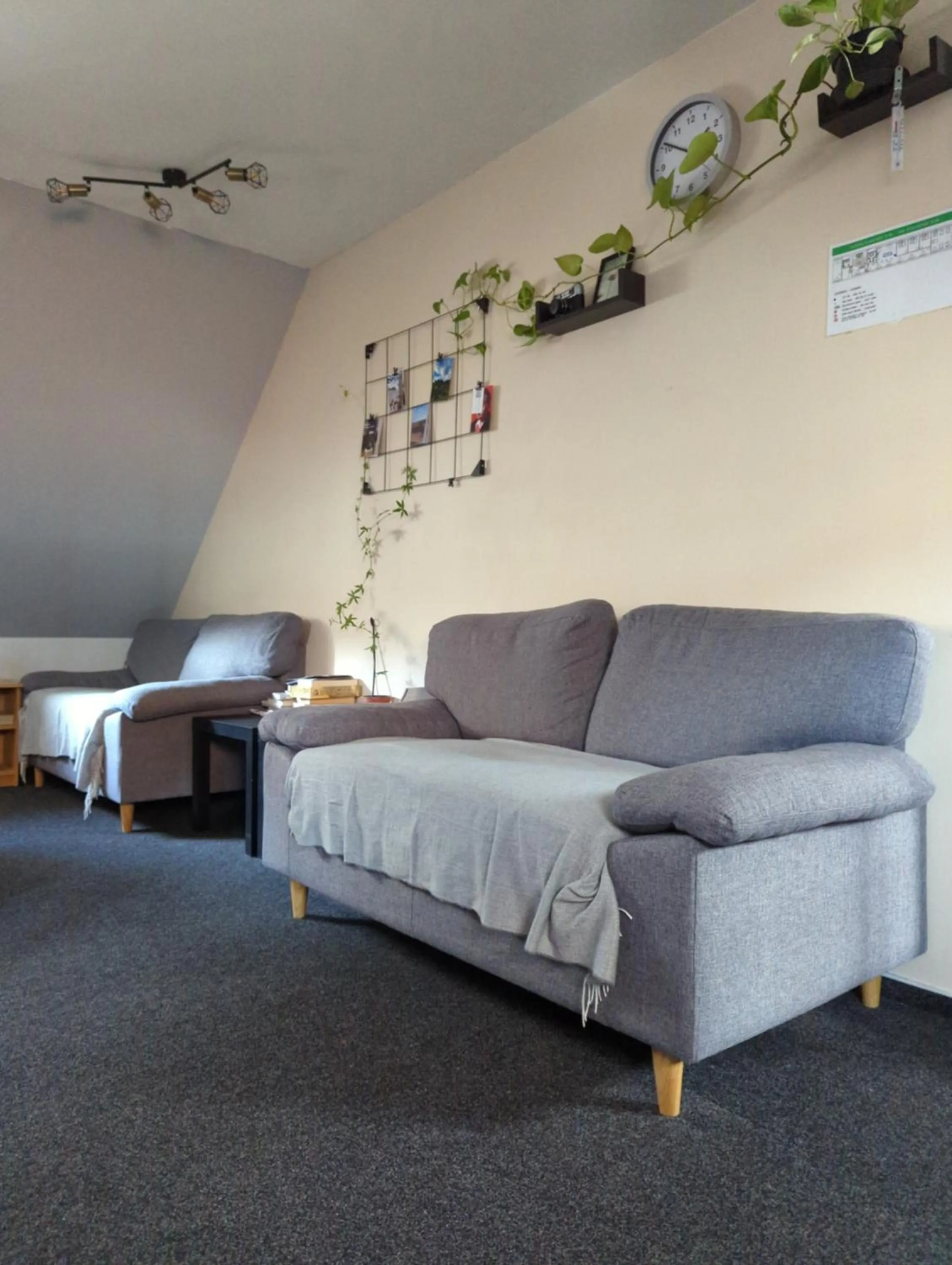 Seating area in Hostel John Galt