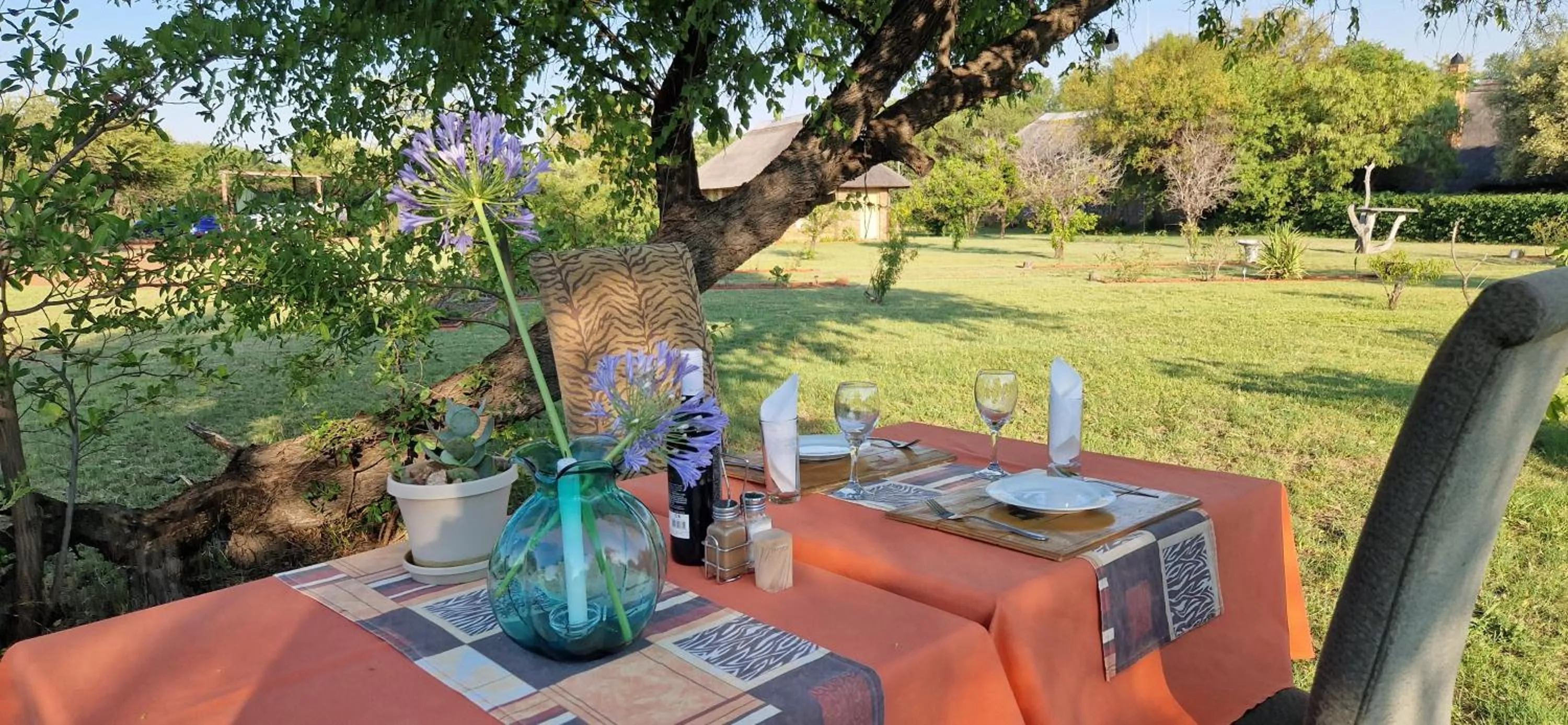 Garden in Tamboti Bush Lodge