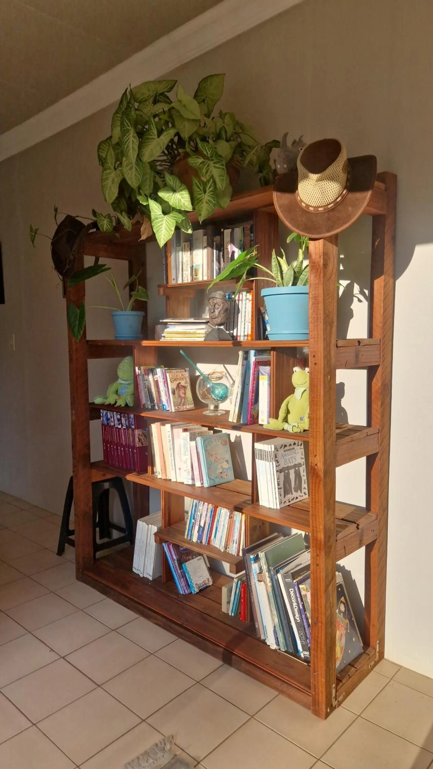 Library in Tamboti Bush Lodge