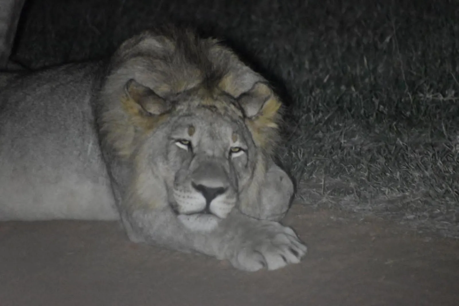 Off site in Tamboti Bush Lodge